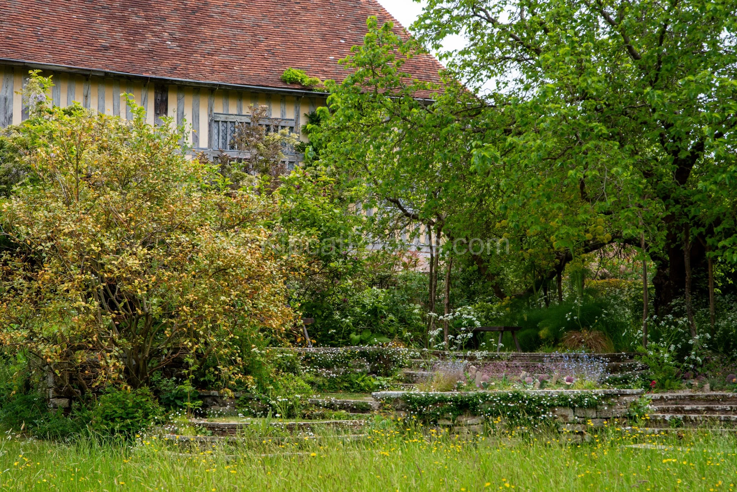 The timber-framed Tudor house at Great Dixter seen beyond stone garden steps and a wildflower meadow. Kipcatphotos.com

Weathered stone steps and terracing lead up toward Great Dixter's timber-framed house, glimpsed through trees beyond a buttercup-s