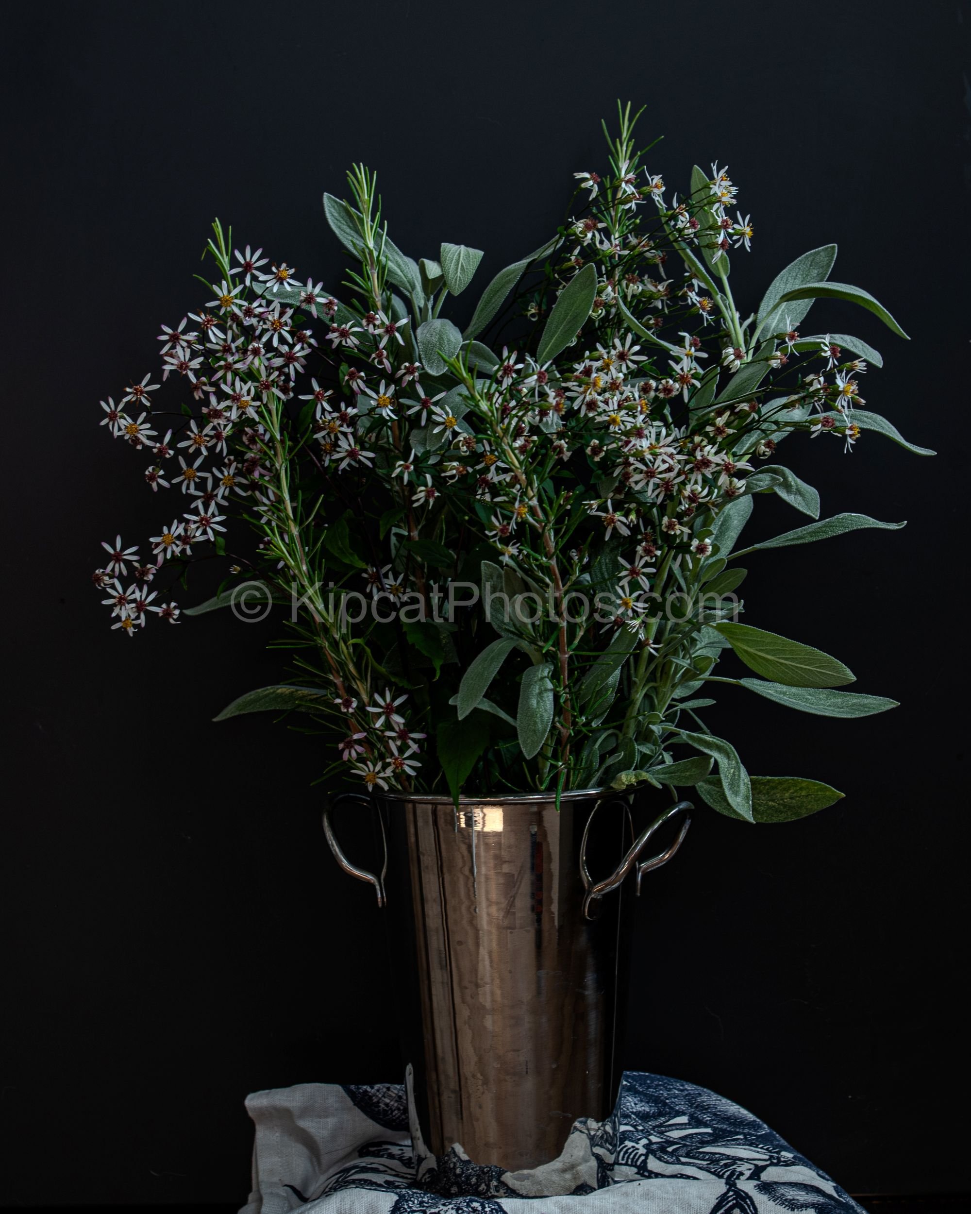 Herbs & Daisies