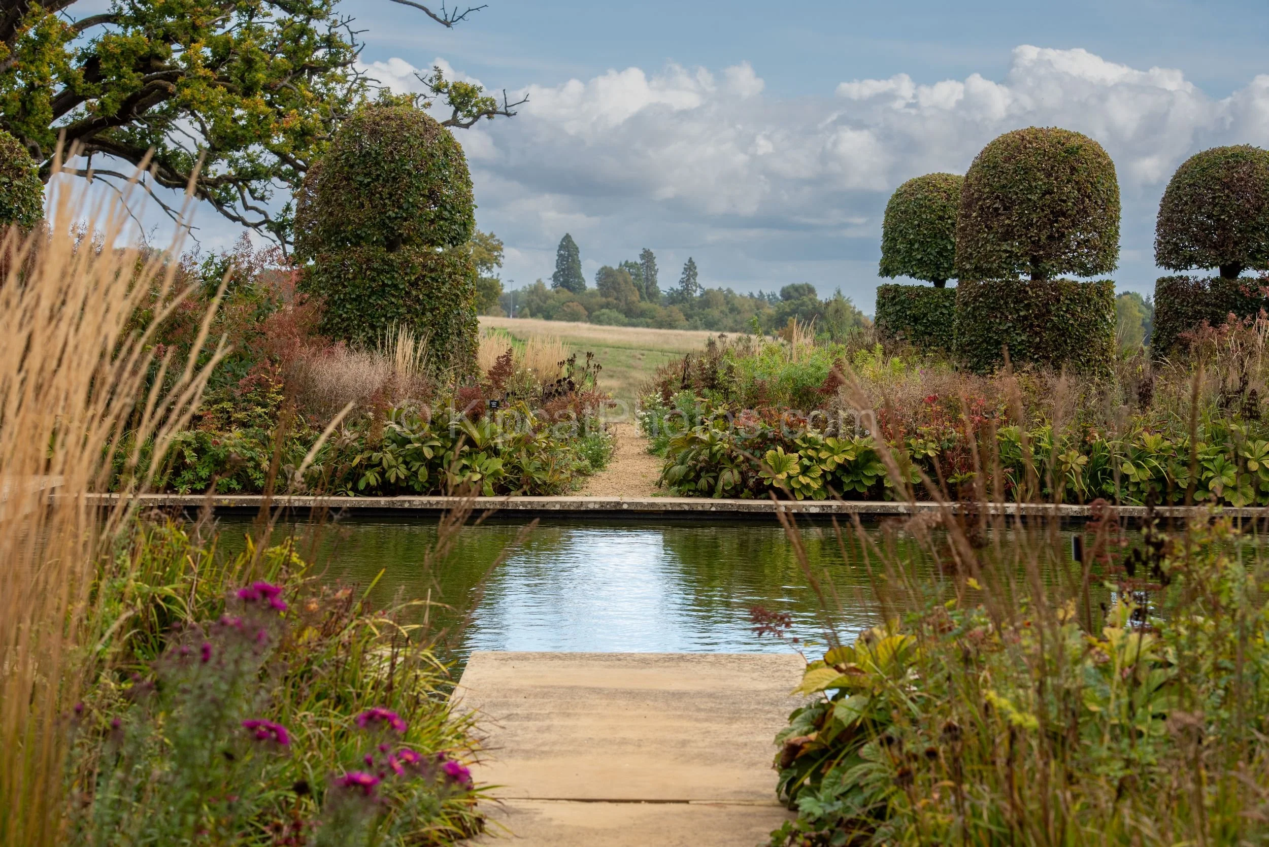 A long formal canal pool reflects the sky at Broughton Grange, Oxfordshire, with autumn perennial borders of grasses and rudbeckia on either side, large domed topiary framing the view and open Oxfordshire fields beyond. KipcatPhotos.com.

This view a