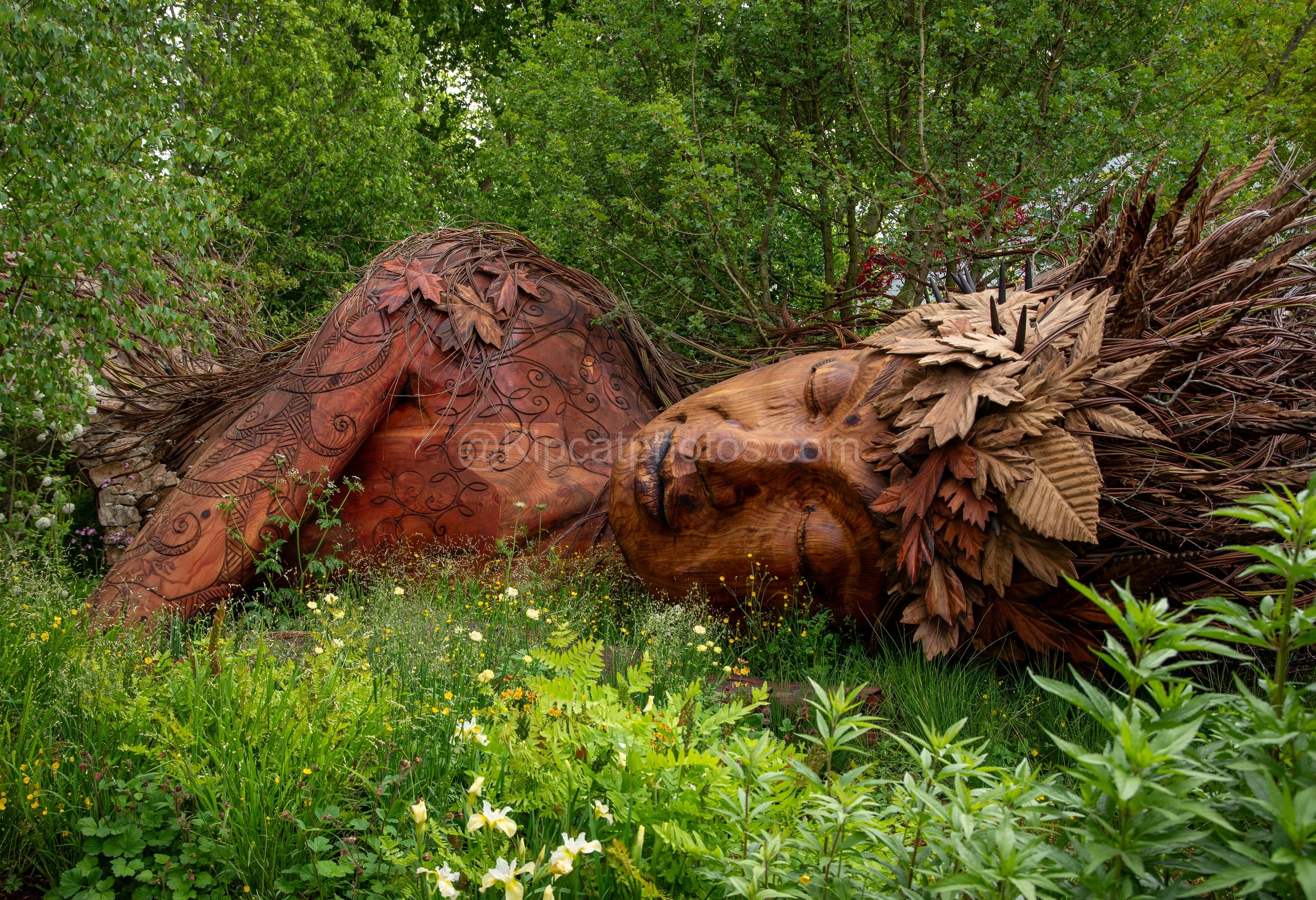 Chelsea Flower Show 2026