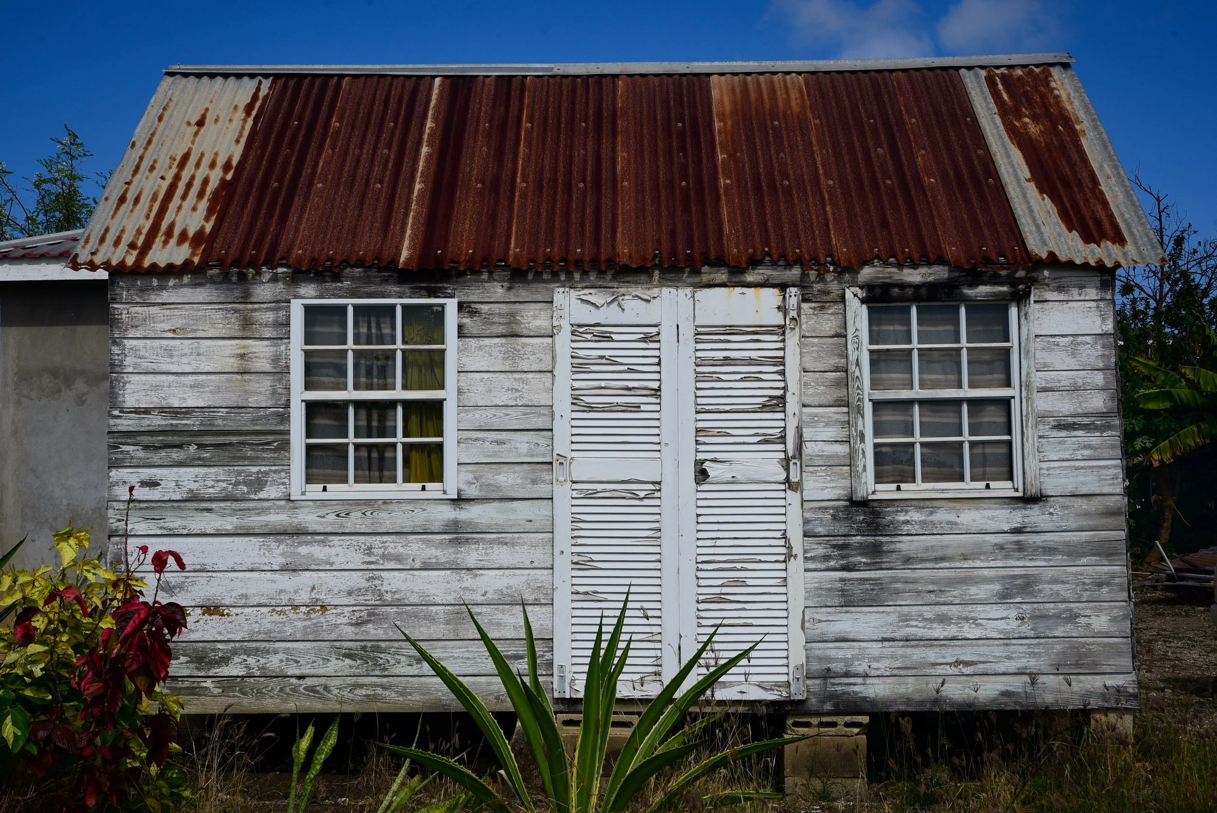 A weathered white chattel house in Barbados with louvred shutter doors and a red bromeliad plant in the foreground. Kipcatphotos.com

Streaked with grime and salt air, this white chattel house's louvred shutter doors and sash windows sit beneath a ru