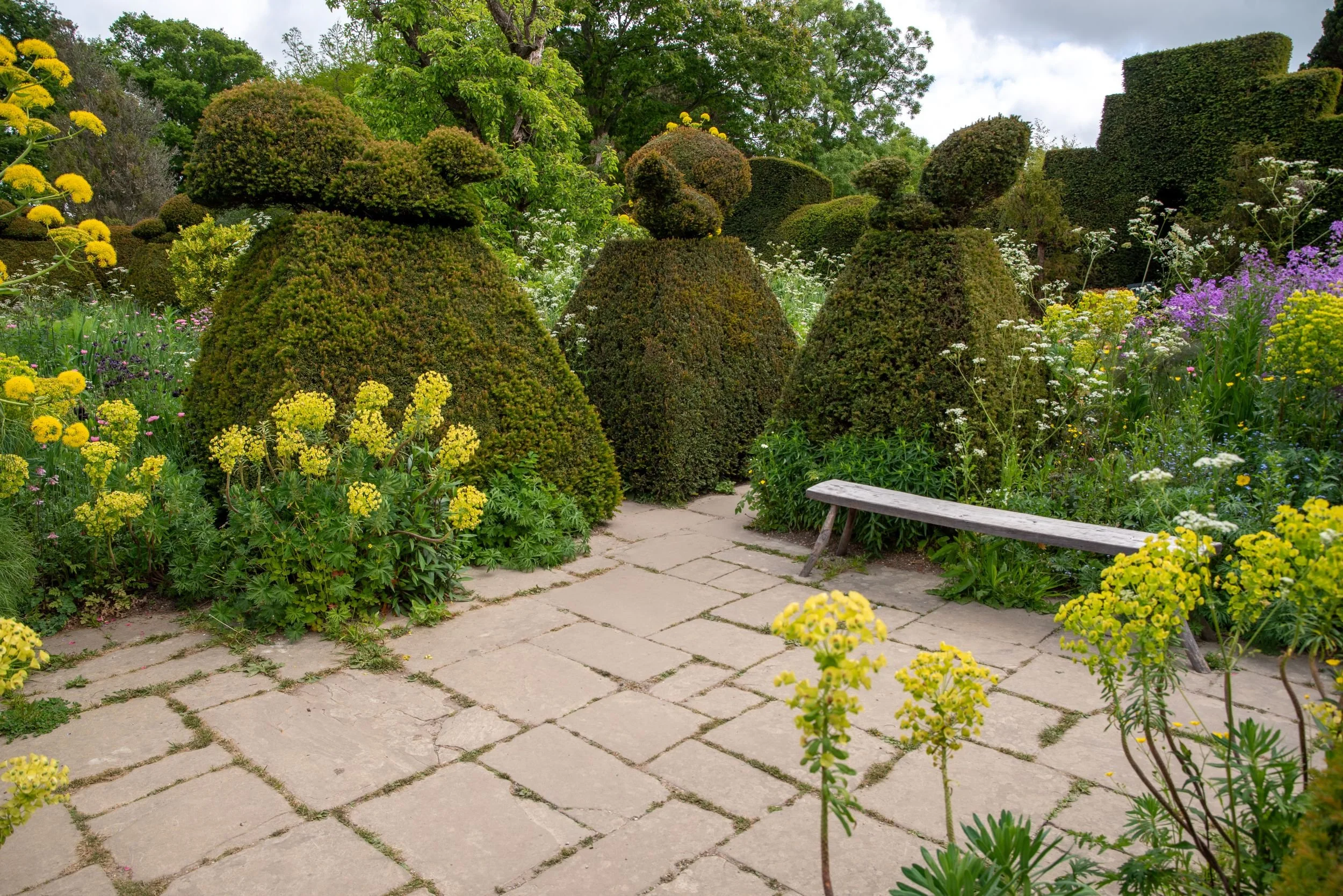 A gravel path curves between clipped yew topiary, a variegated yucca and lush ferns in a shaded corner of the Great Dixter garden. Kipcatphotos.com

A gravel path winds through a richly textured planting of ferns, hydrangea and a spiky variegated yuc