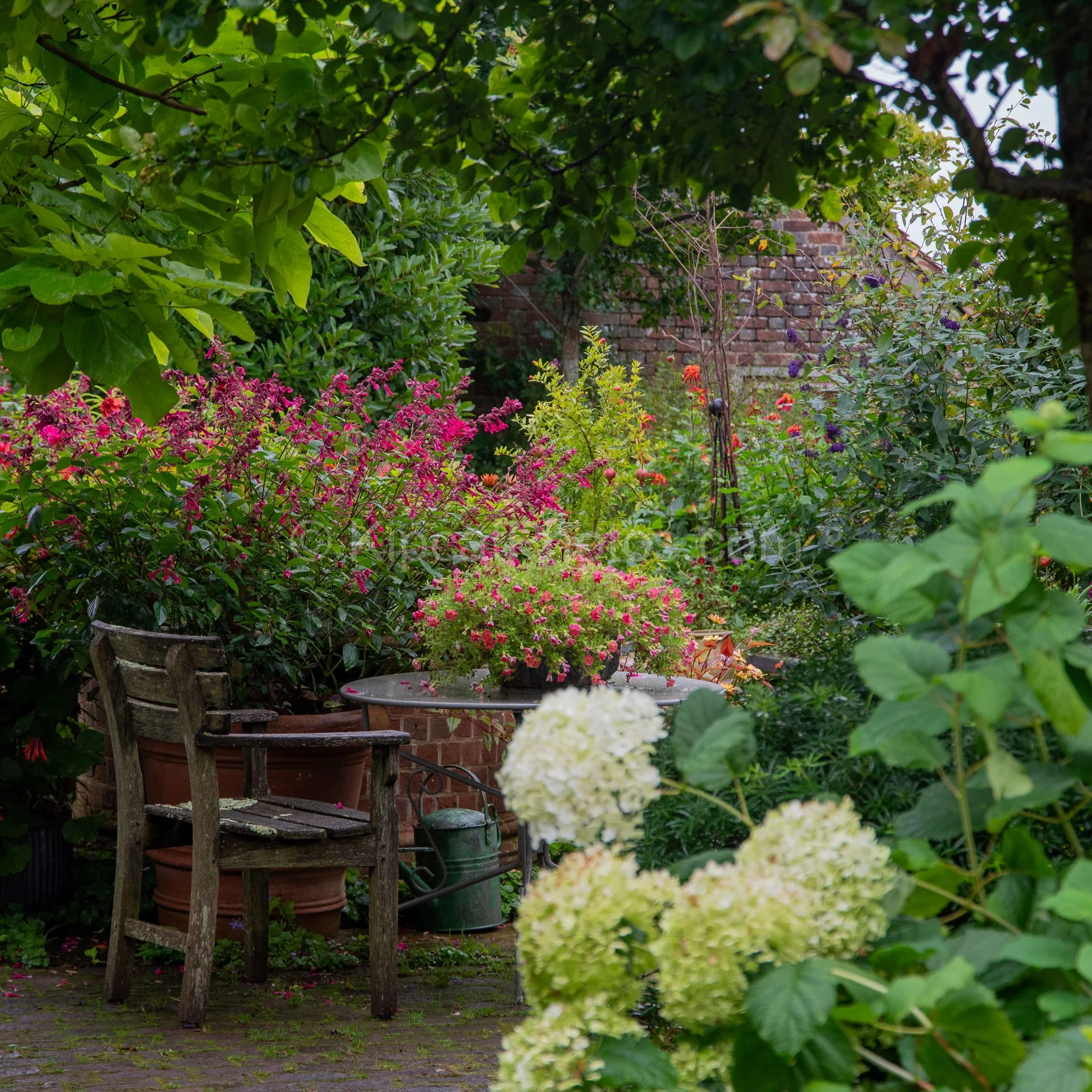 Sarah Raven's garden at Perch Hill