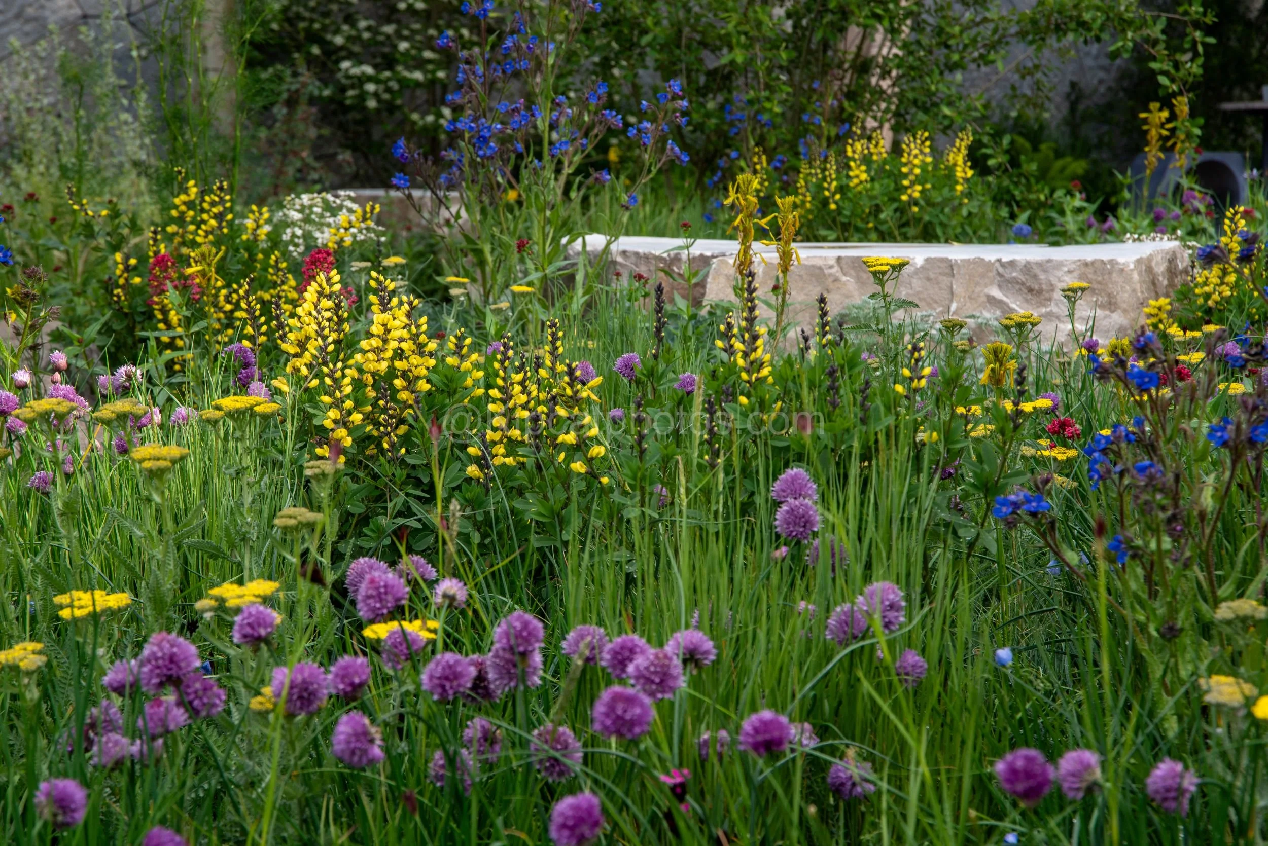 Baz Grainger Killik & Co garden