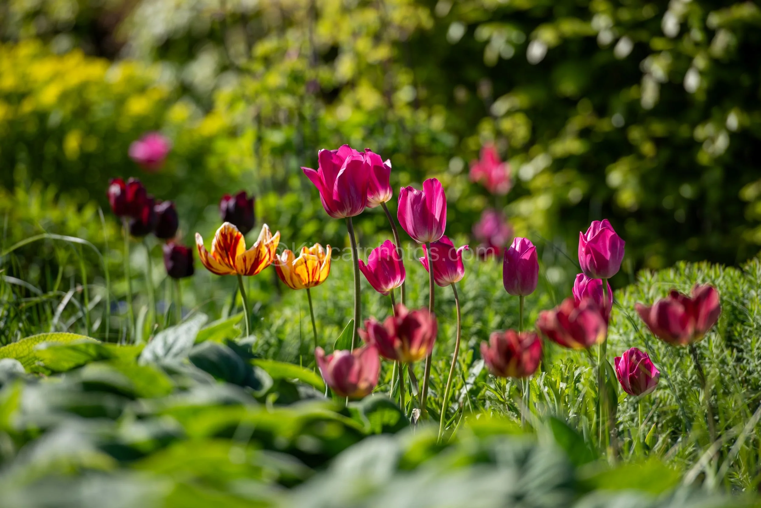 Hepworth Wakefied 8 Kipcatphotos.jpg