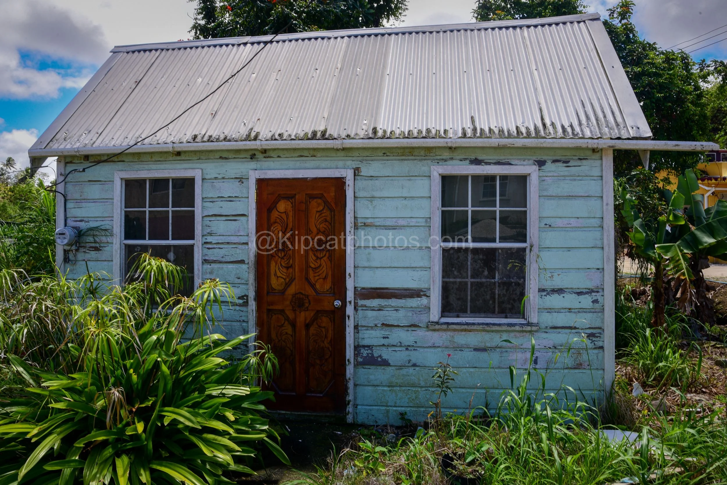 A pale blue chattel house in Barbados with a carved wooden door, surrounded by lush tropical planting. Kipcatphotos.com

Another view of this pale blue chattel house shows off its ornately carved wooden door and peeling paintwork, framed by broad-lea
