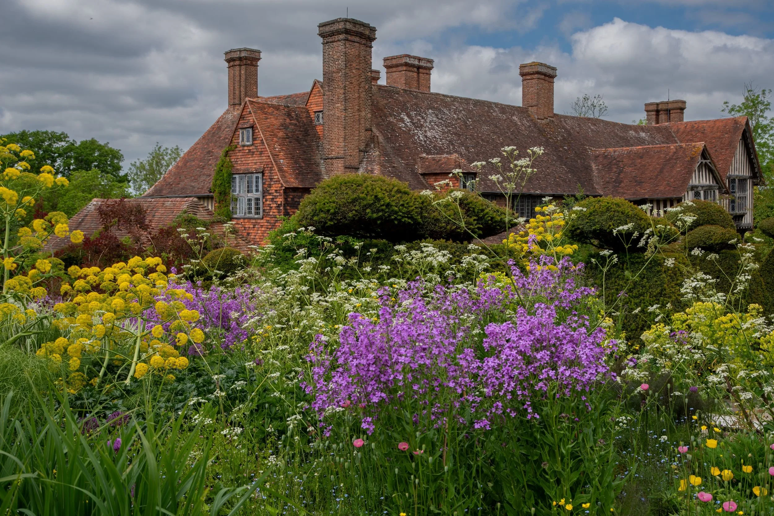 Wide view of Great Dixter's historic house with its many brick chimneys, framed by yellow fennel and purple wallflowers. Kipcatphotos.com

A sweeping view of Great Dixter's much-photographed manor house, its cluster of tall brick chimneys rising abov