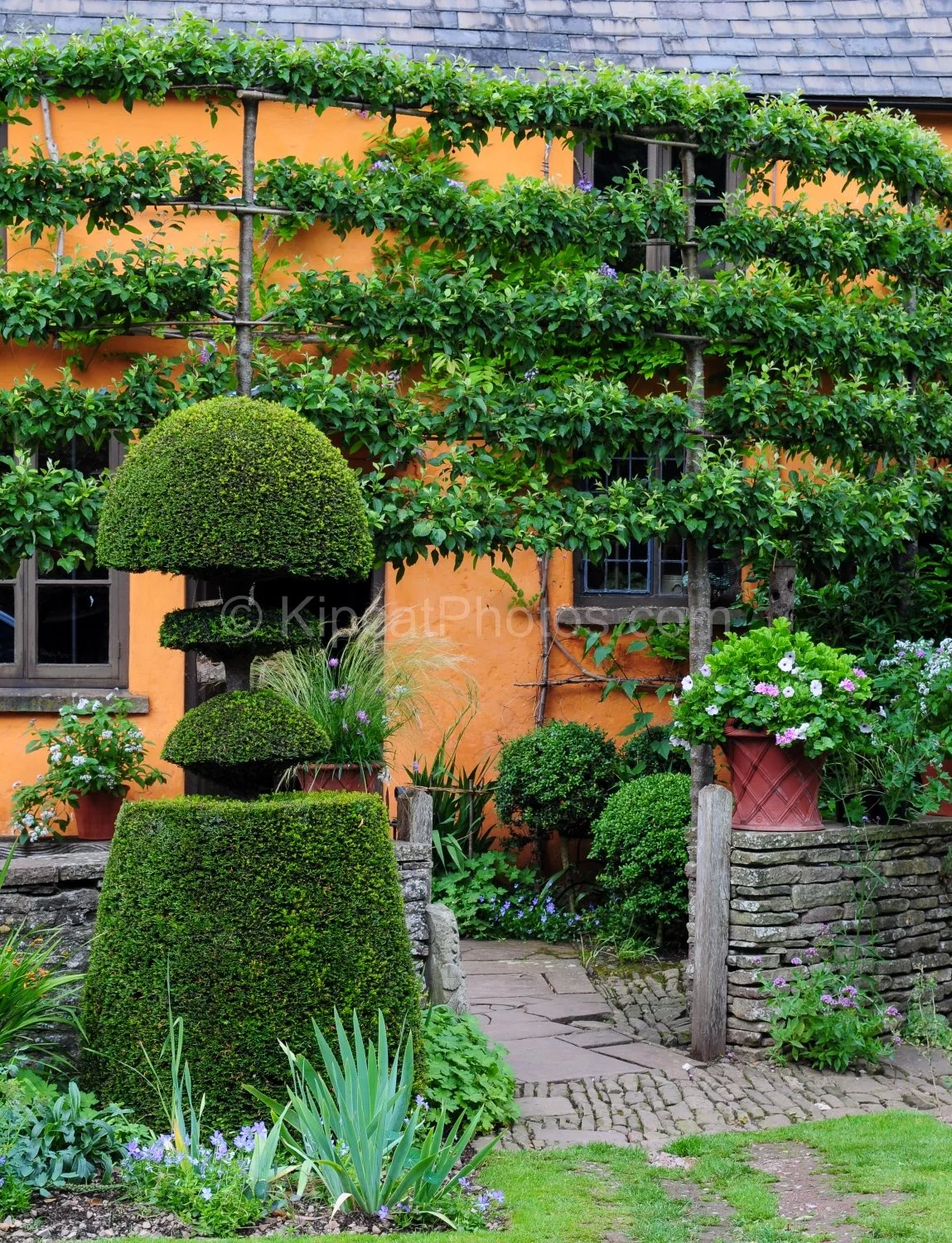 allt-y-bela-courtyard-entrance-topiary-espalier-path.jpg.jpg