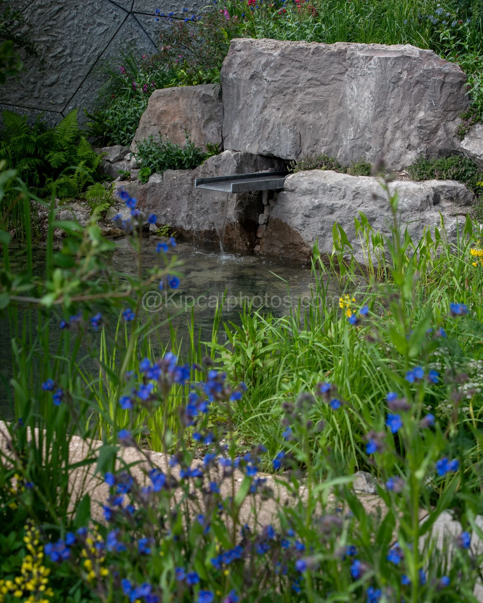 Stone water spout feeding a natural pool, framed by blue Anchusa flowers, in the Harry Holding & Alex Michaelis garden at RHS Chelsea Flower Show 2026

A rustic stone water spout trickles into a natural-looking pool among large boulders, framed by vi