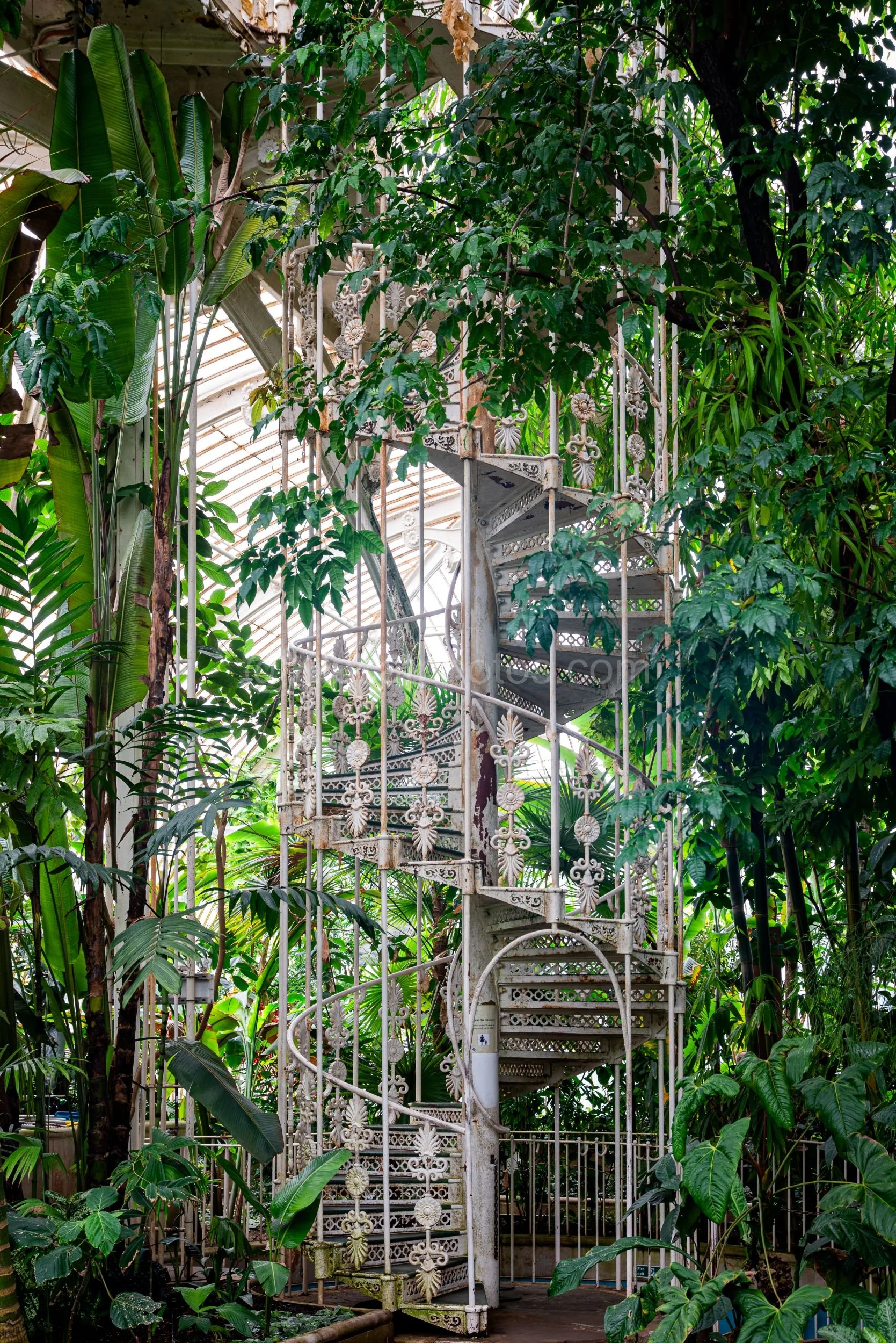 The Palm House staircase Kipcatphotos.com.jpg