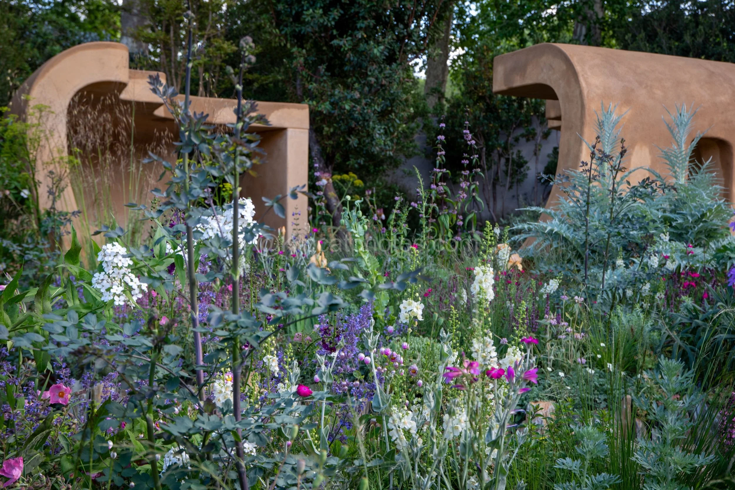 Abstract sculptural ochre garden structures rising above cottage-style planting in the Darren Hawkes garden at RHS Chelsea Flower Show 2026

Large abstract sculptural forms in ochre-rendered concrete rise above a dense cottage garden border of white 