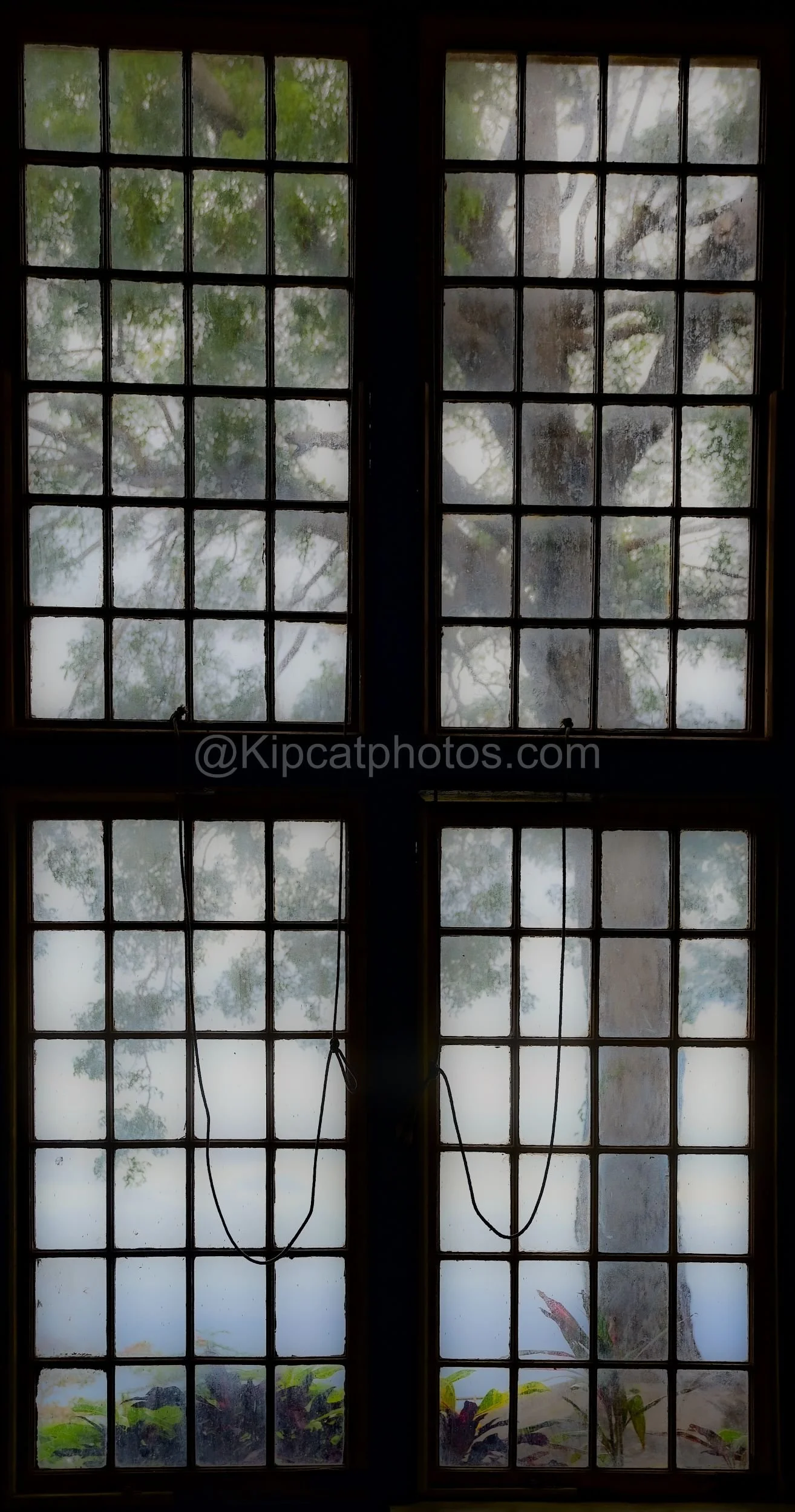 A tall pair of multi-pane windows inside St John's Church, Barbados, looking out onto trees. Kipcatphotos.com

Seen from within St John's Church, these tall sash windows are divided into dozens of small panes, their glass clouded with age, framing a 