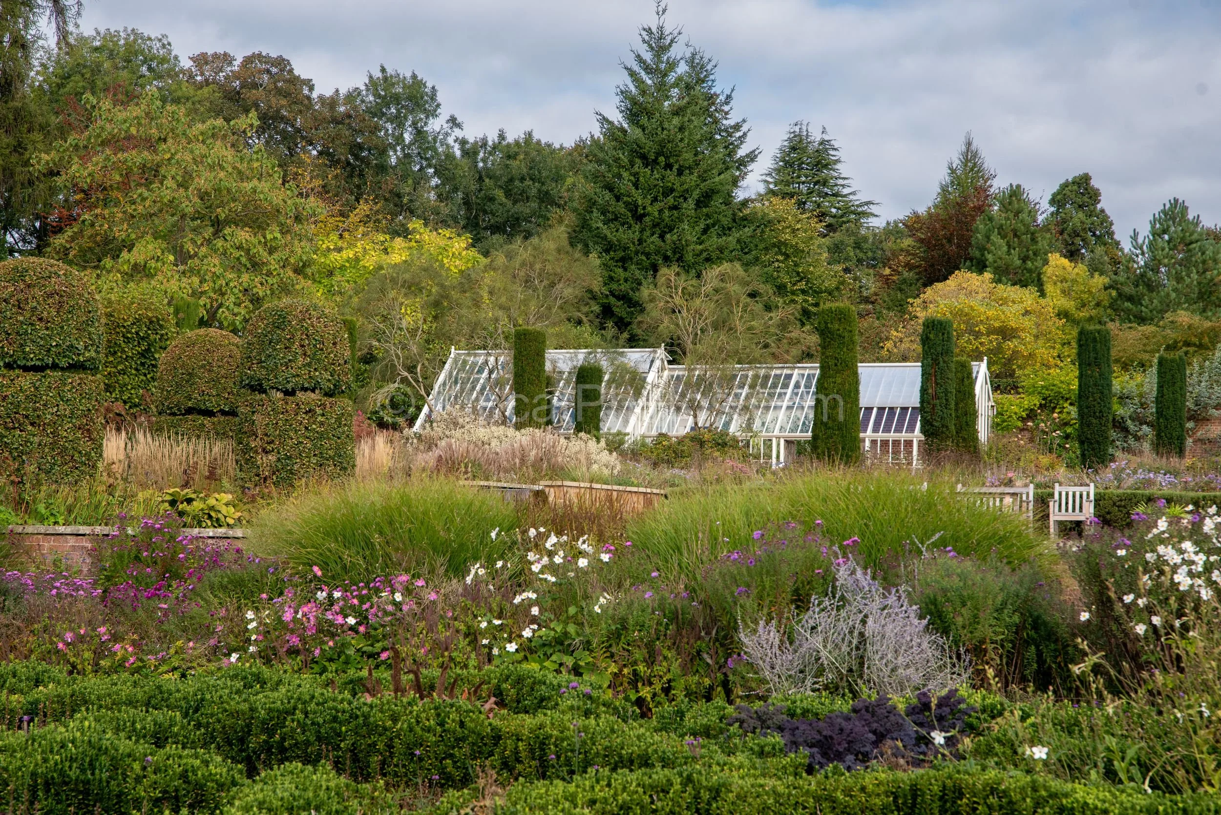 A wide view across the parterre garden at Broughton Grange, Oxfordshire, with cosmos, asters and ornamental grasses in the foreground, columnar yew topiary in the middle distance and the Victorian glasshouse visible beyond, surrounded by autumn trees