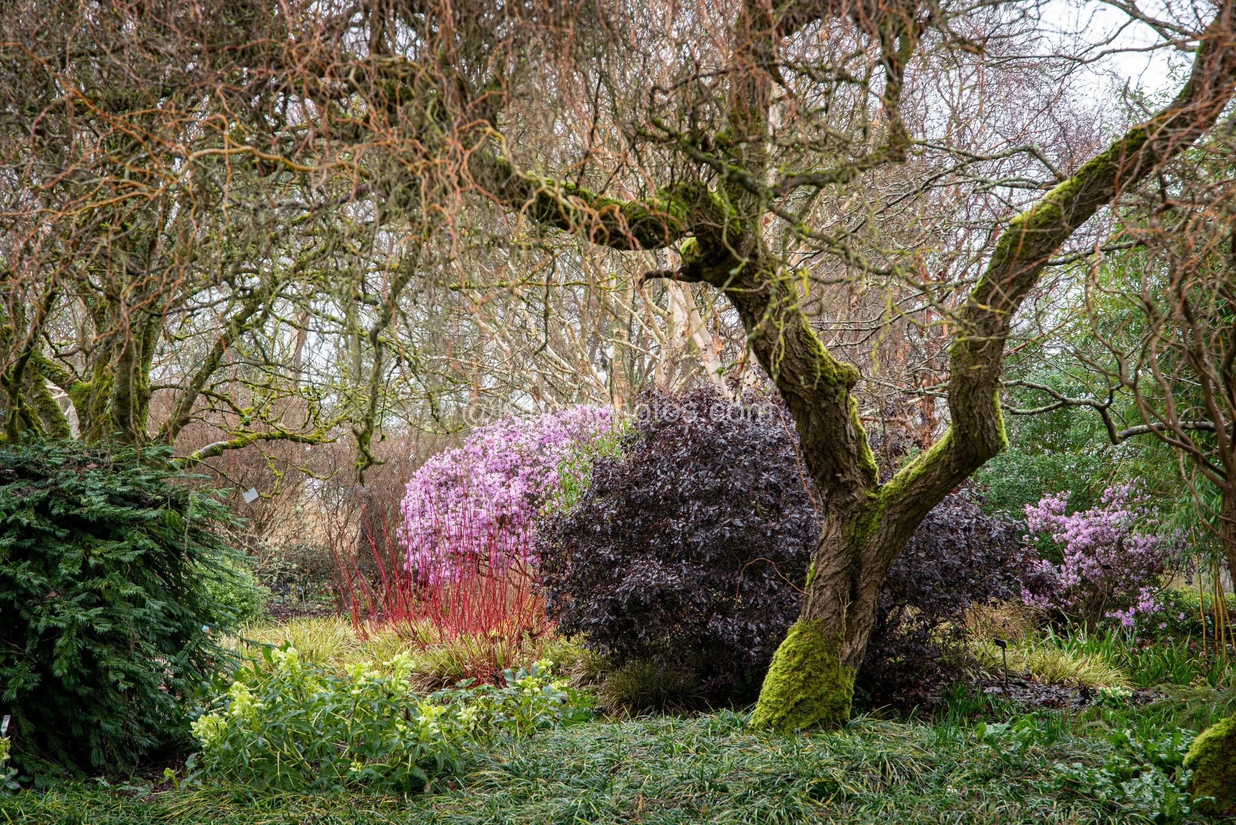 Harold Hillier Gardens Kipcatphotos.jpg