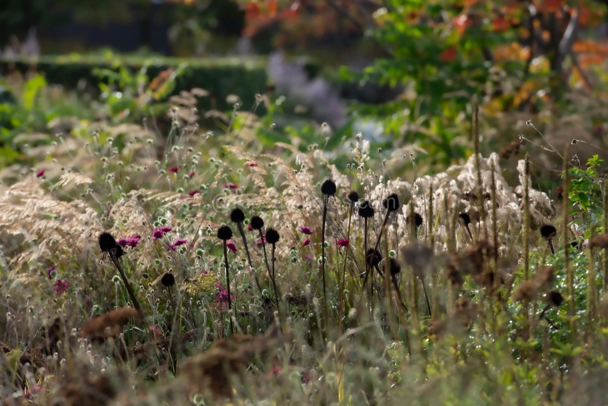 Hepworth Wakefied 19 Kipcatphotos.jpg