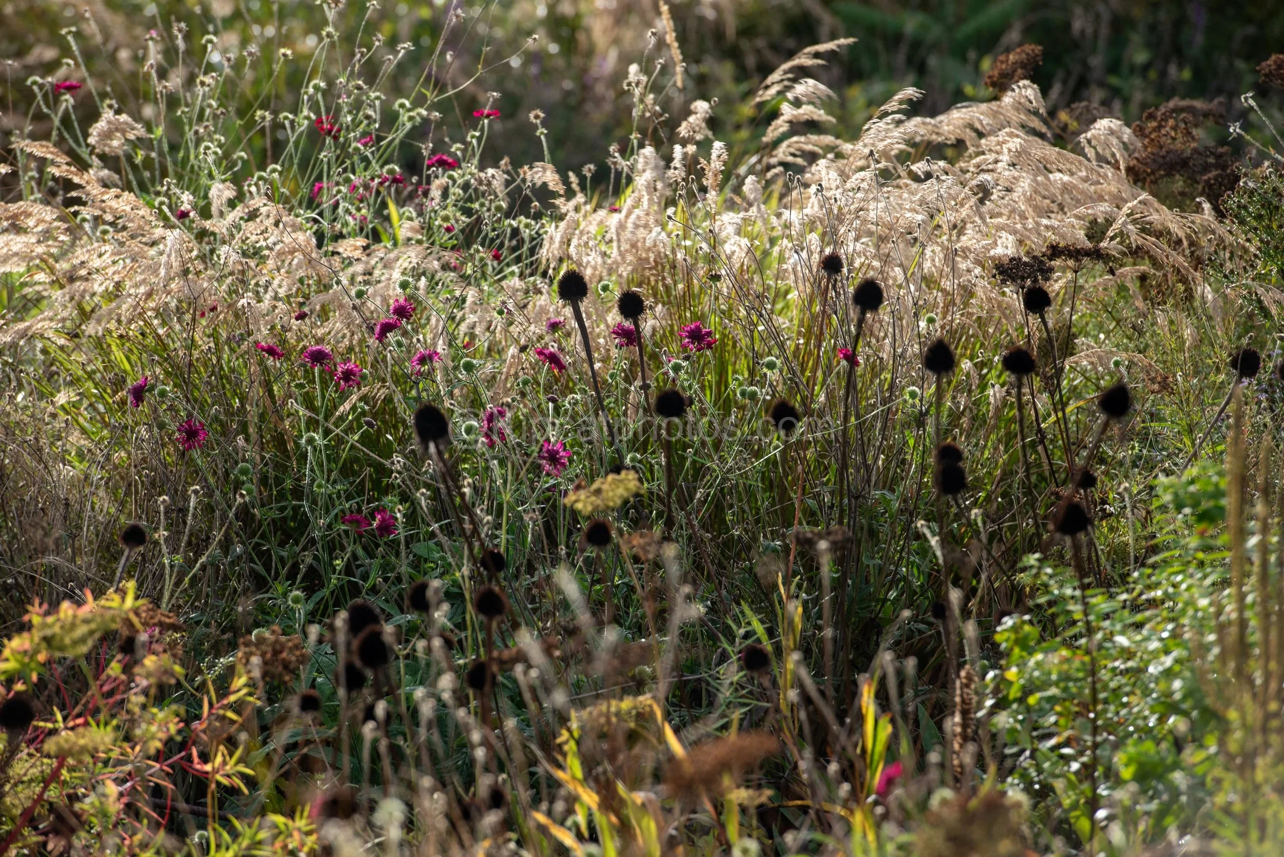 Hepworth Wakefied 23 Kipcatphotos.jpg