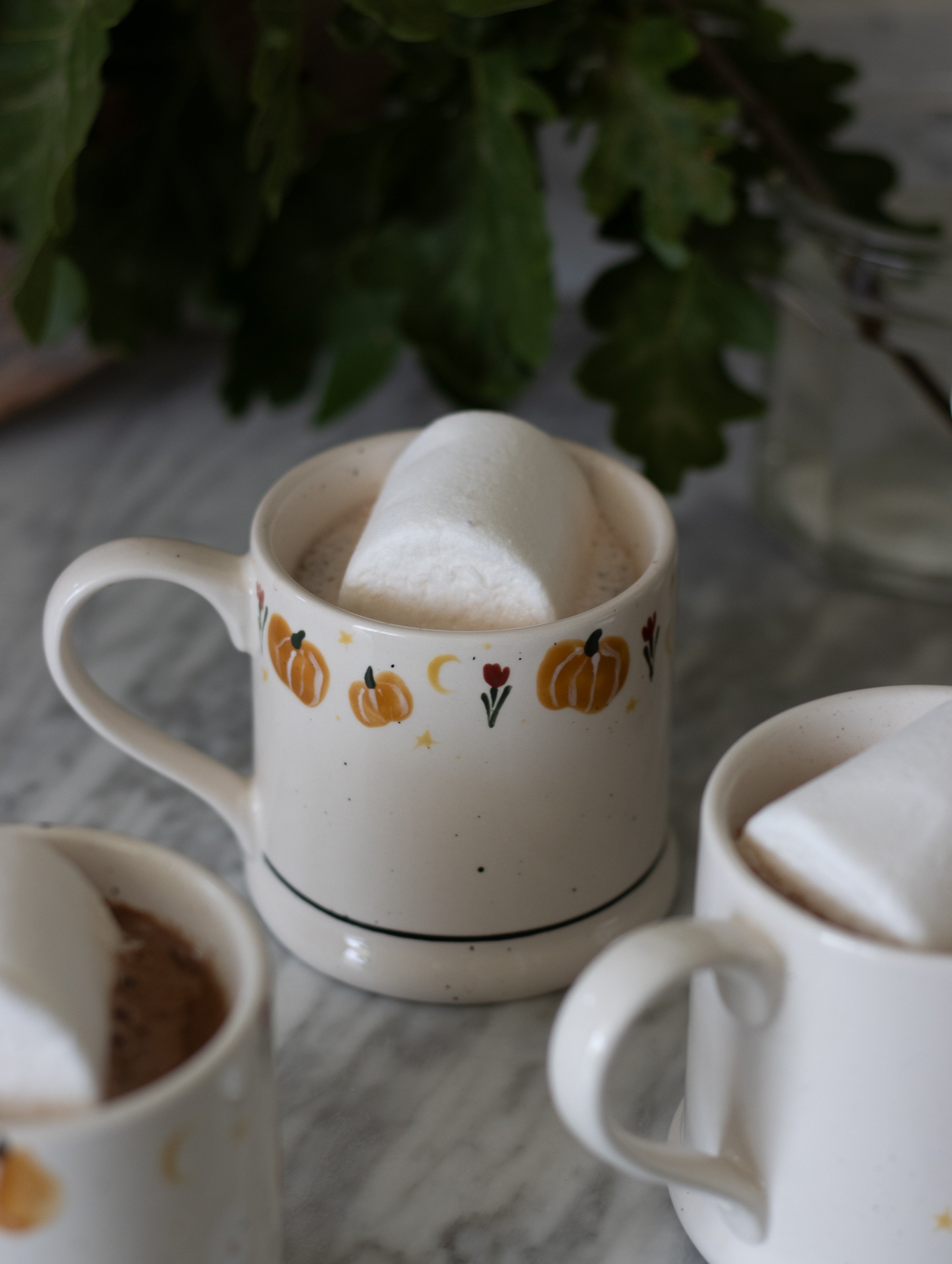Pumpkin Patch Country Mug