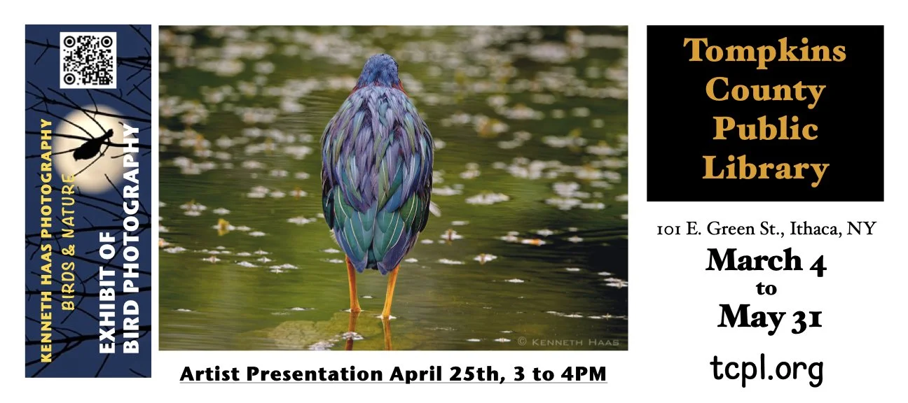 Tompkins County Public Library