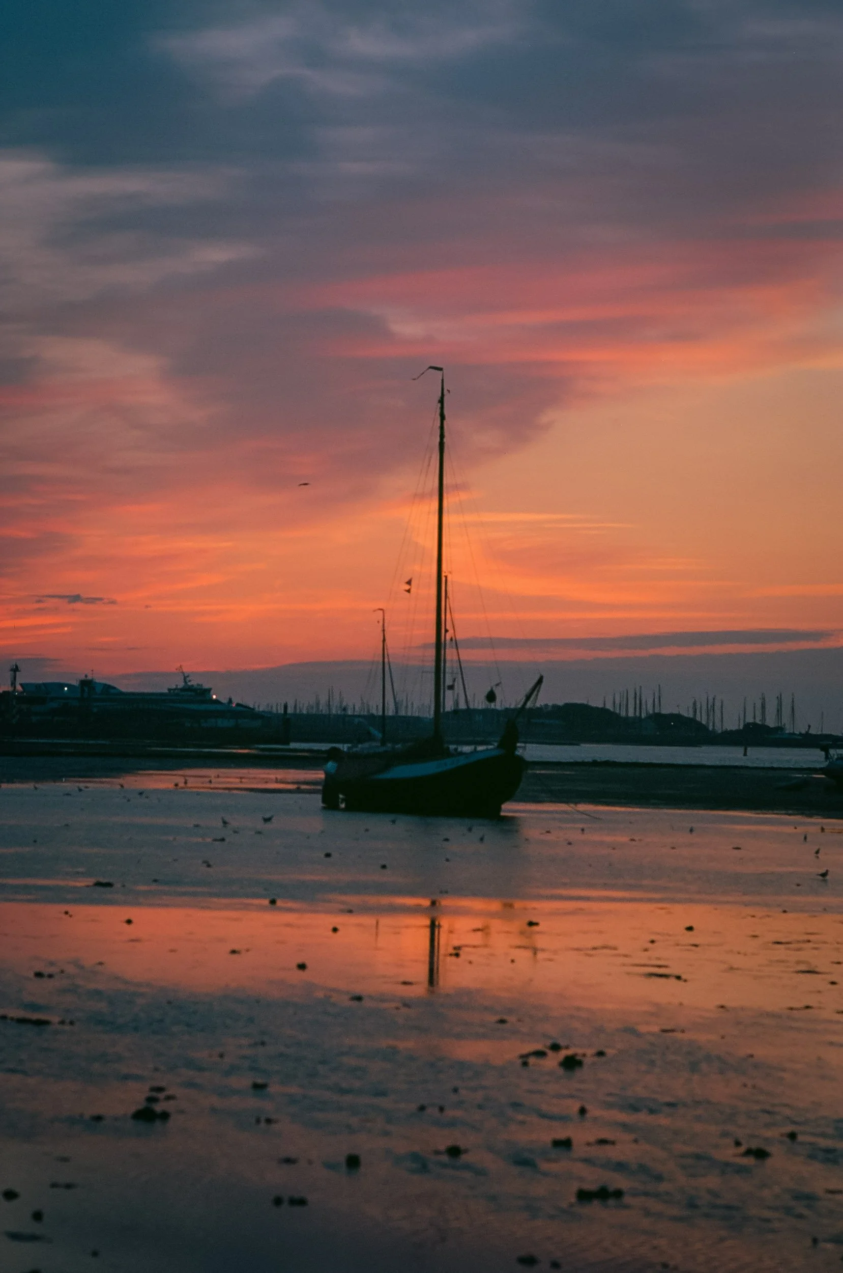 Annaloogzomeraugustus2023vlieland-2.jpg