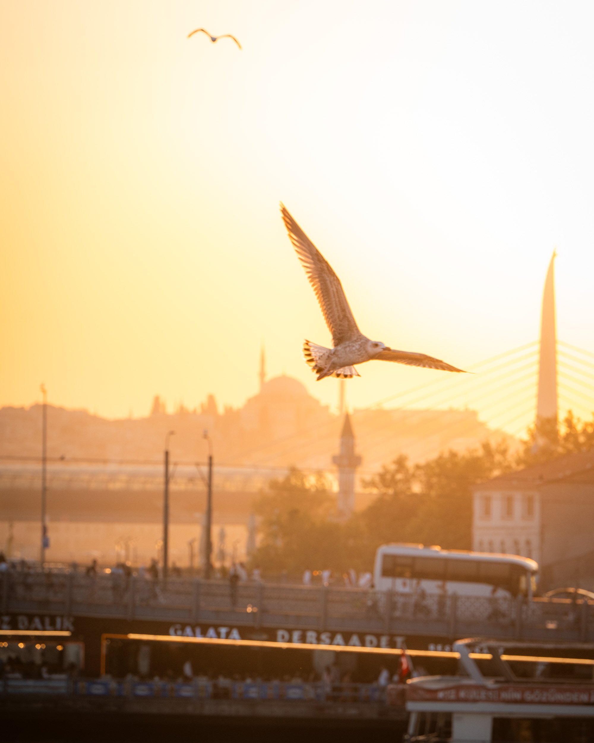 Istanbuljuli2025-12.jpg