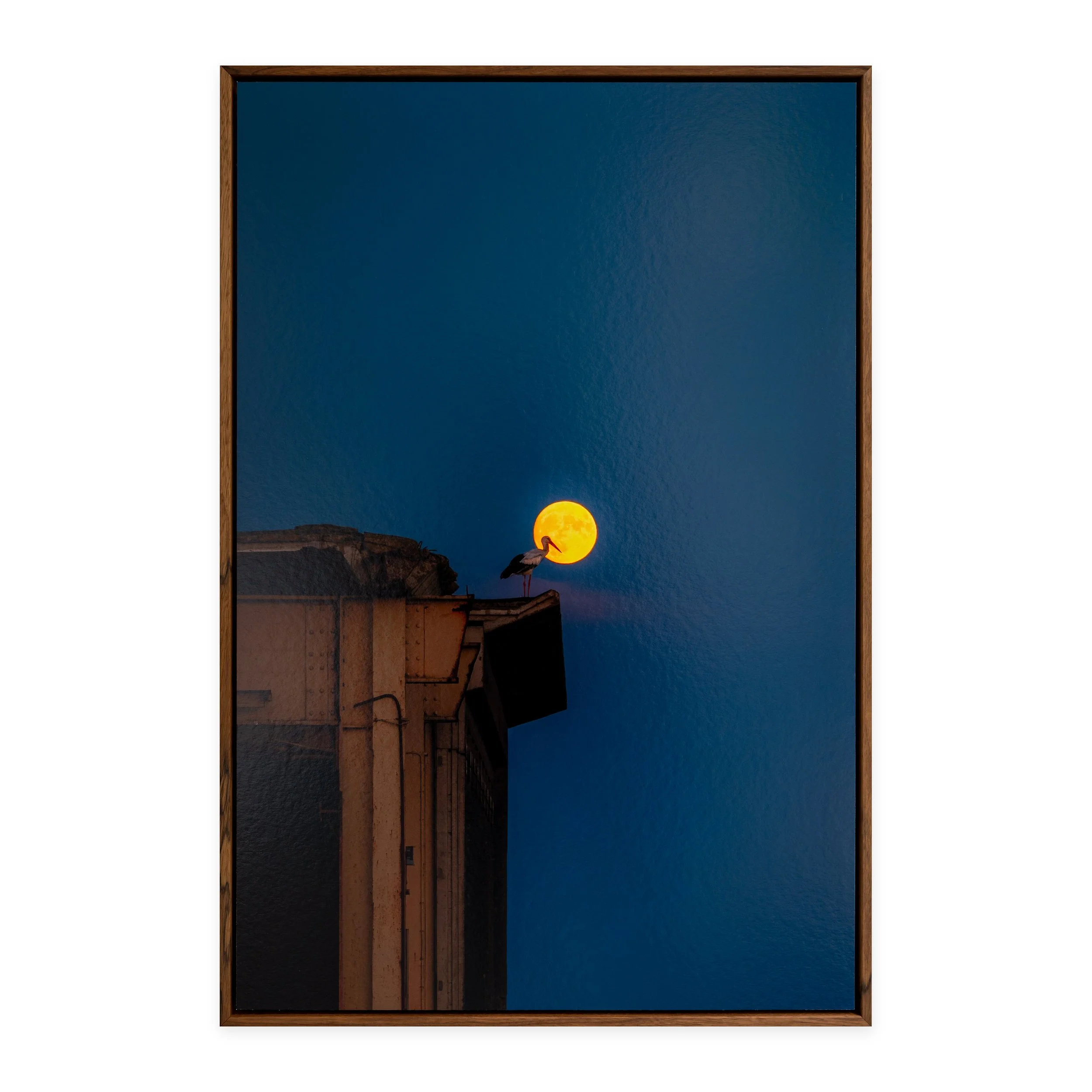 Maanlicht