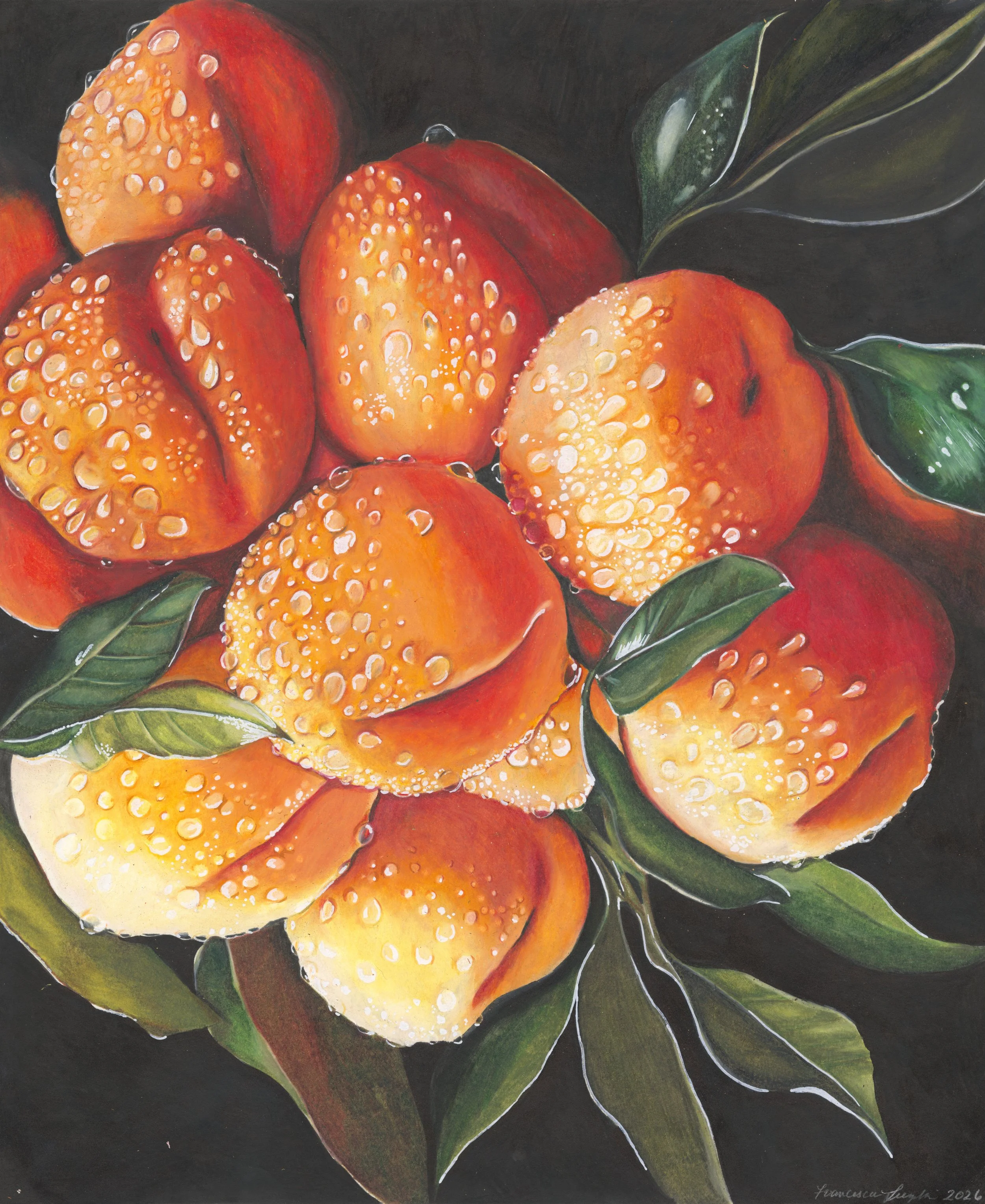 apricots.jpeg