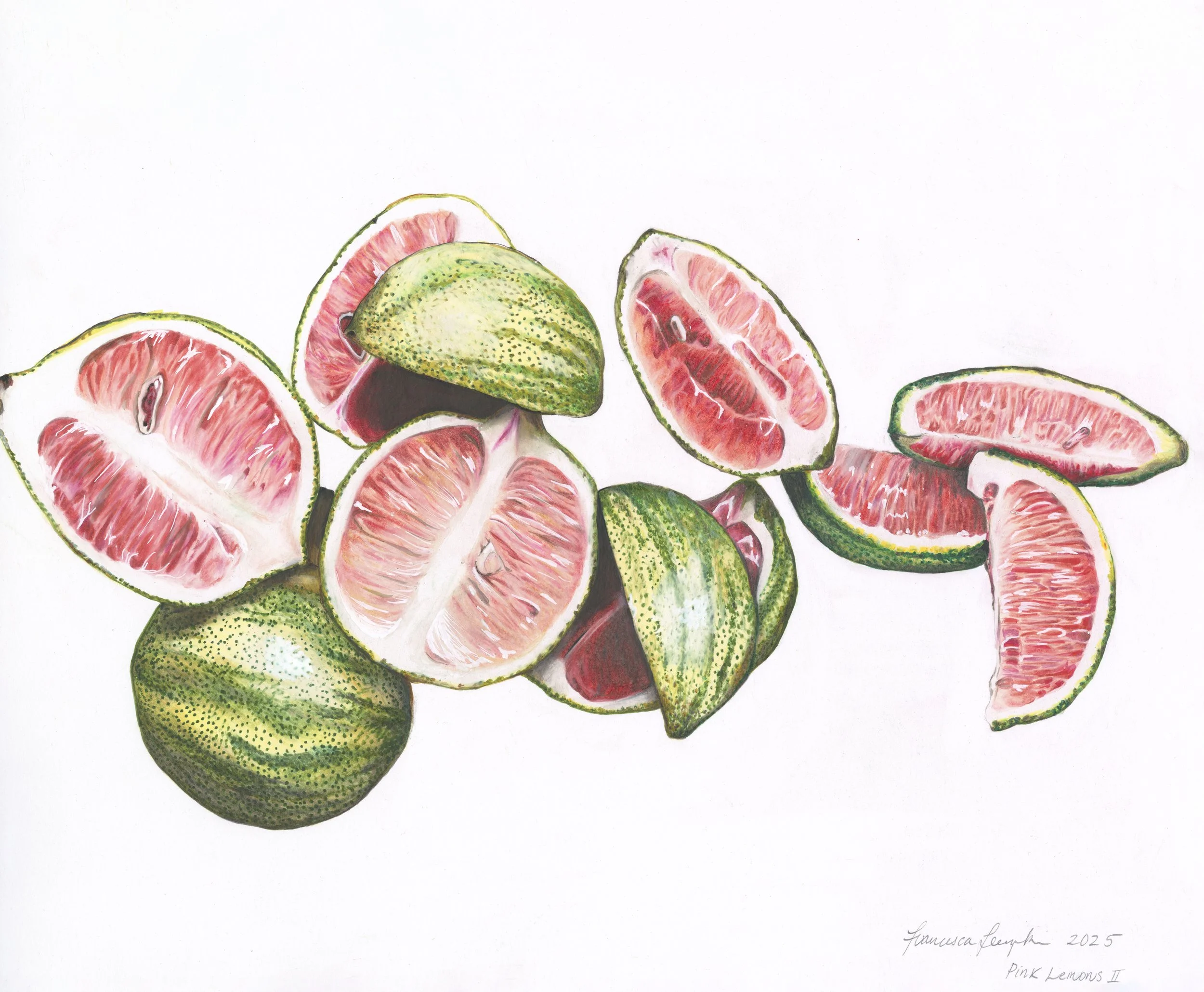 Pink Lemons II.jpg
