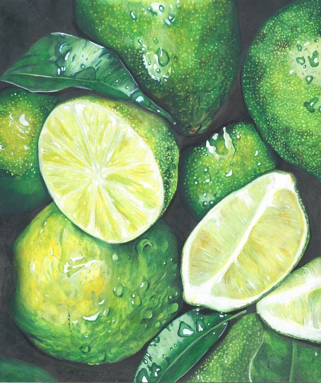 Limes 2025 Large.jpeg