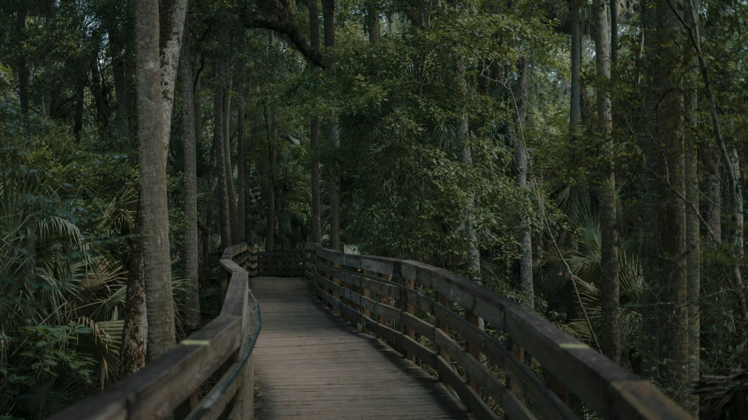 Exploring Accessibility: 7 Key Principles of Universal Design for Trails