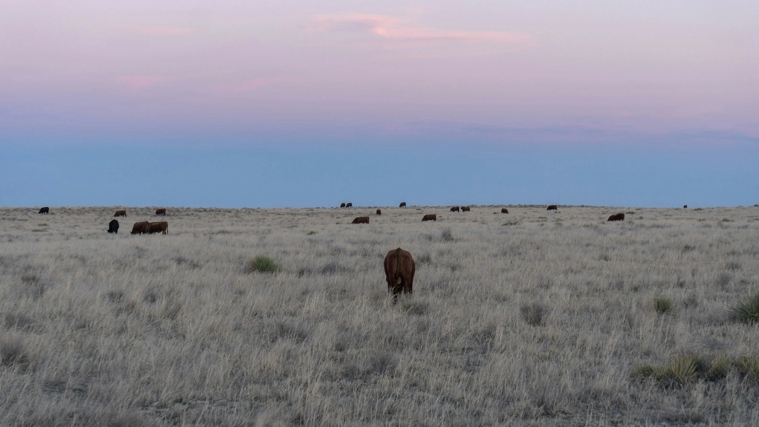 Shared Land, Shared Responsibility