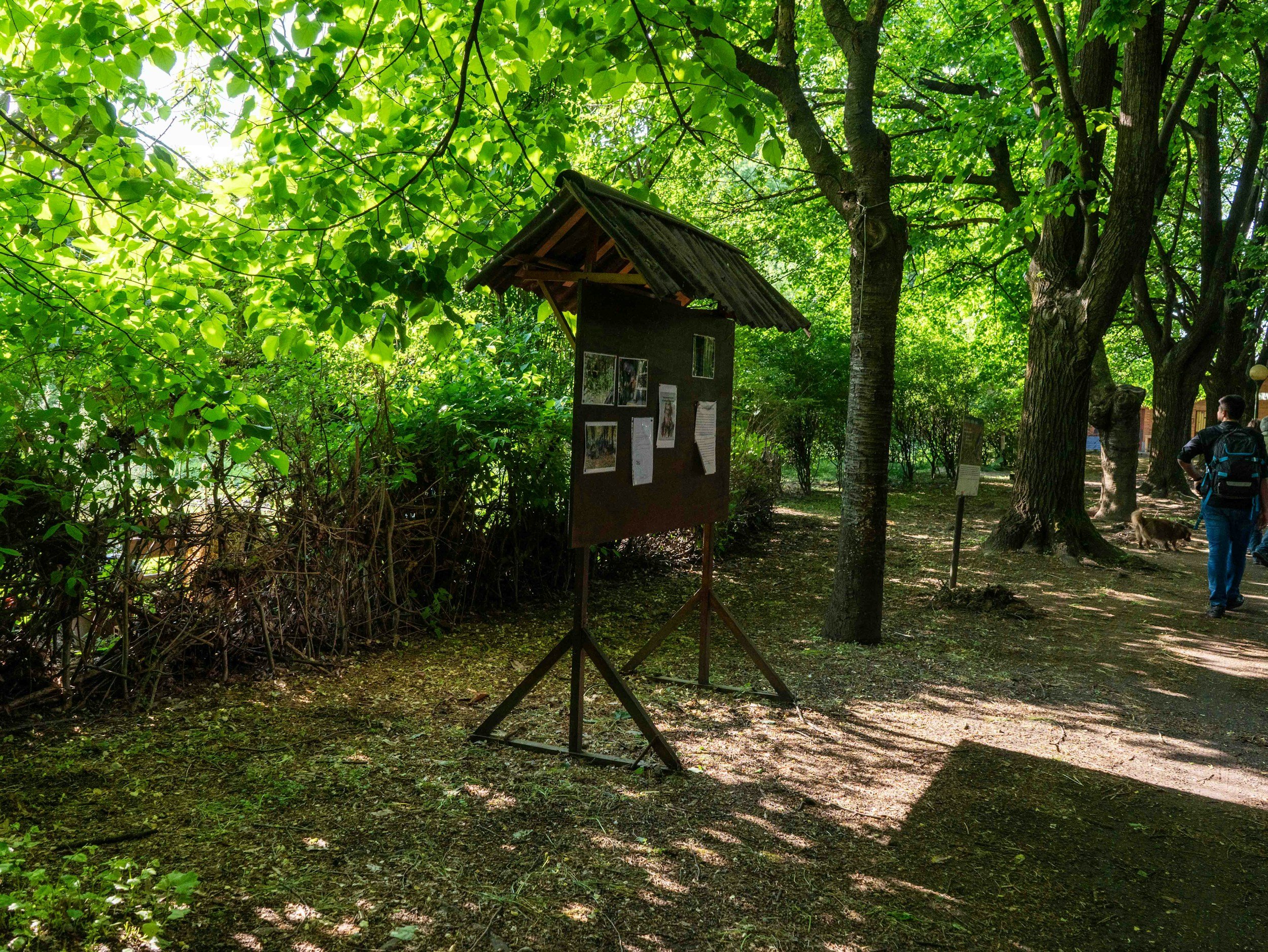 Accessible Trail Signage: What Good Kiosk and Map Design Actually Looks Like