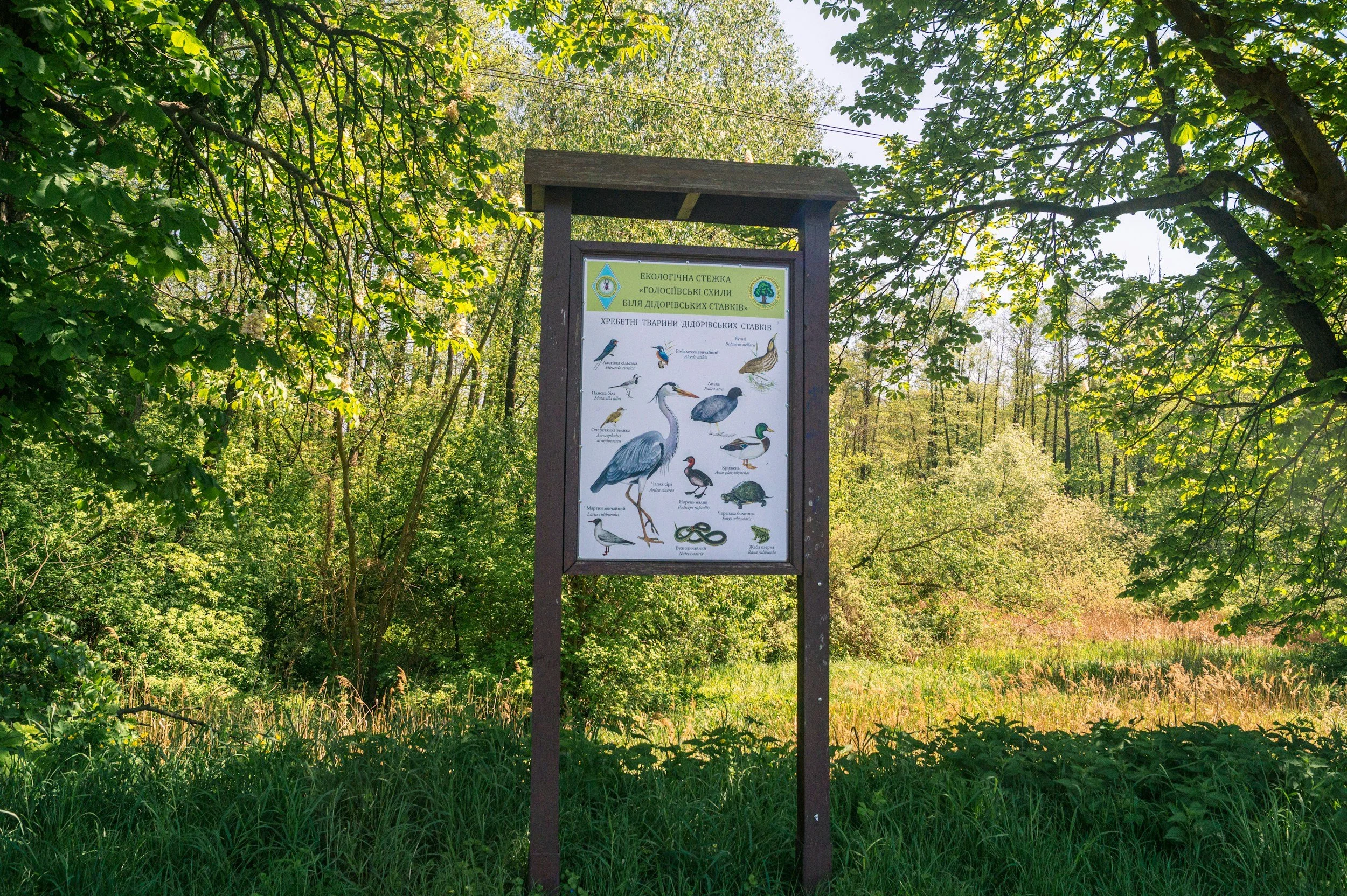 kiosk with wildlife pictures
