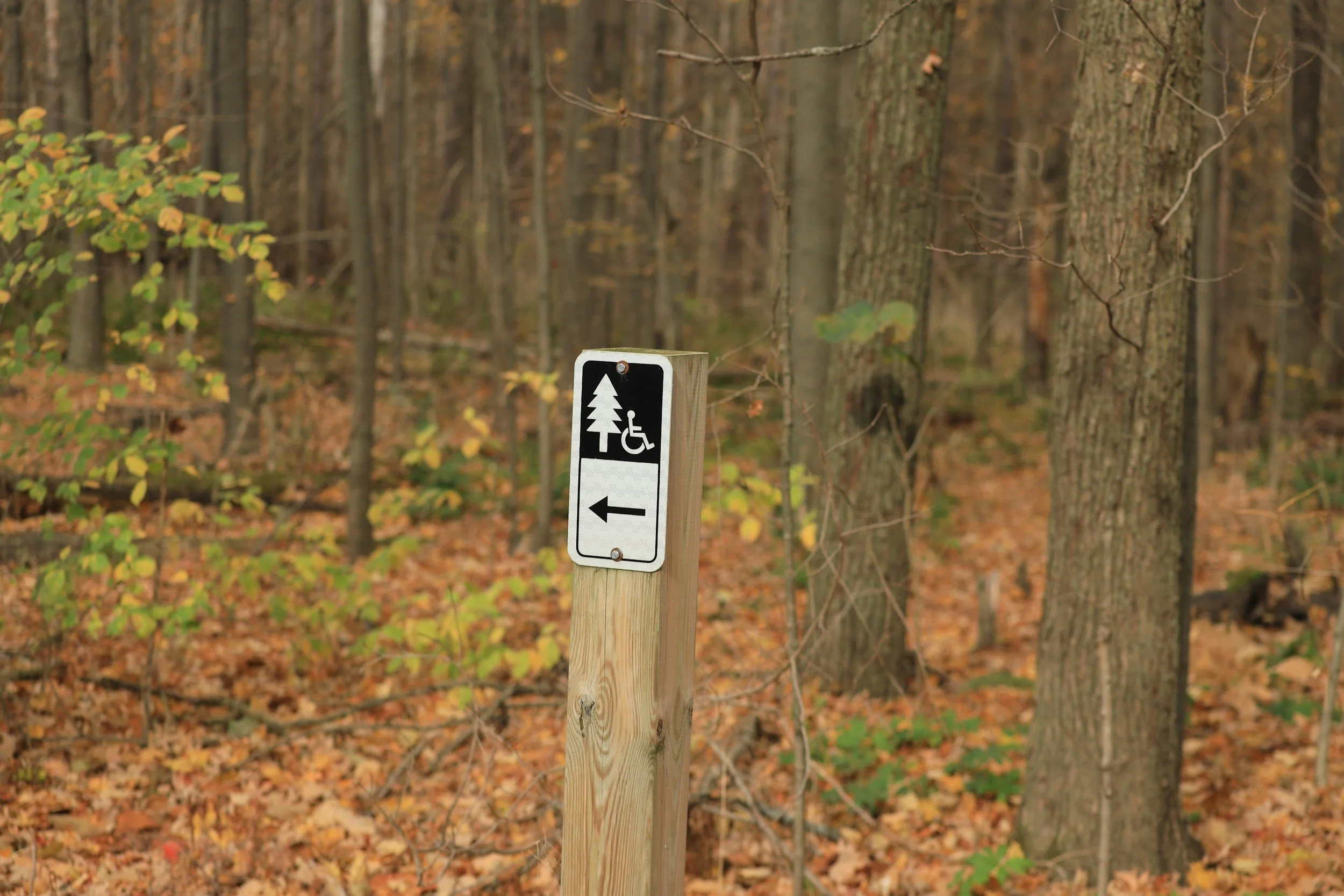 sign with a tree and a handicap symbol pointing at trail to the left