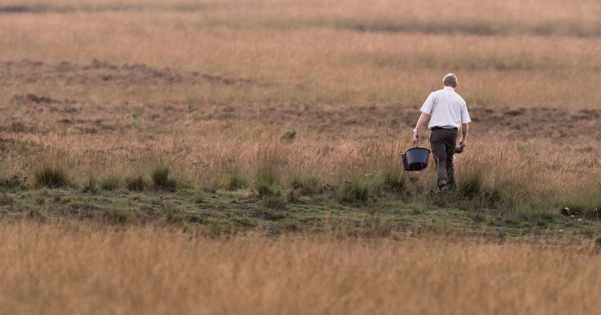 ranger in a field walking with a bucket