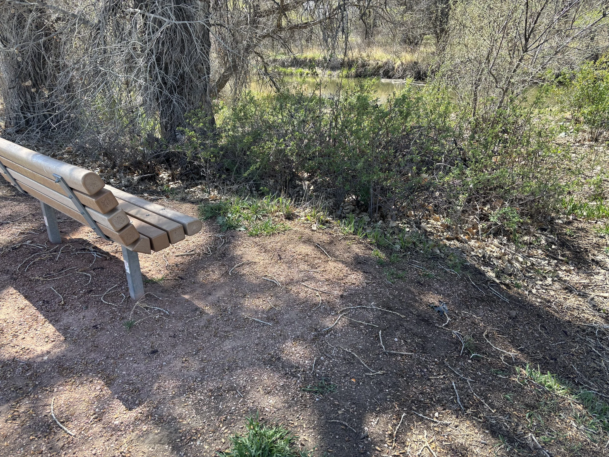 bench with a very sloped wheelchair spot next to it that is unsafe to be used.