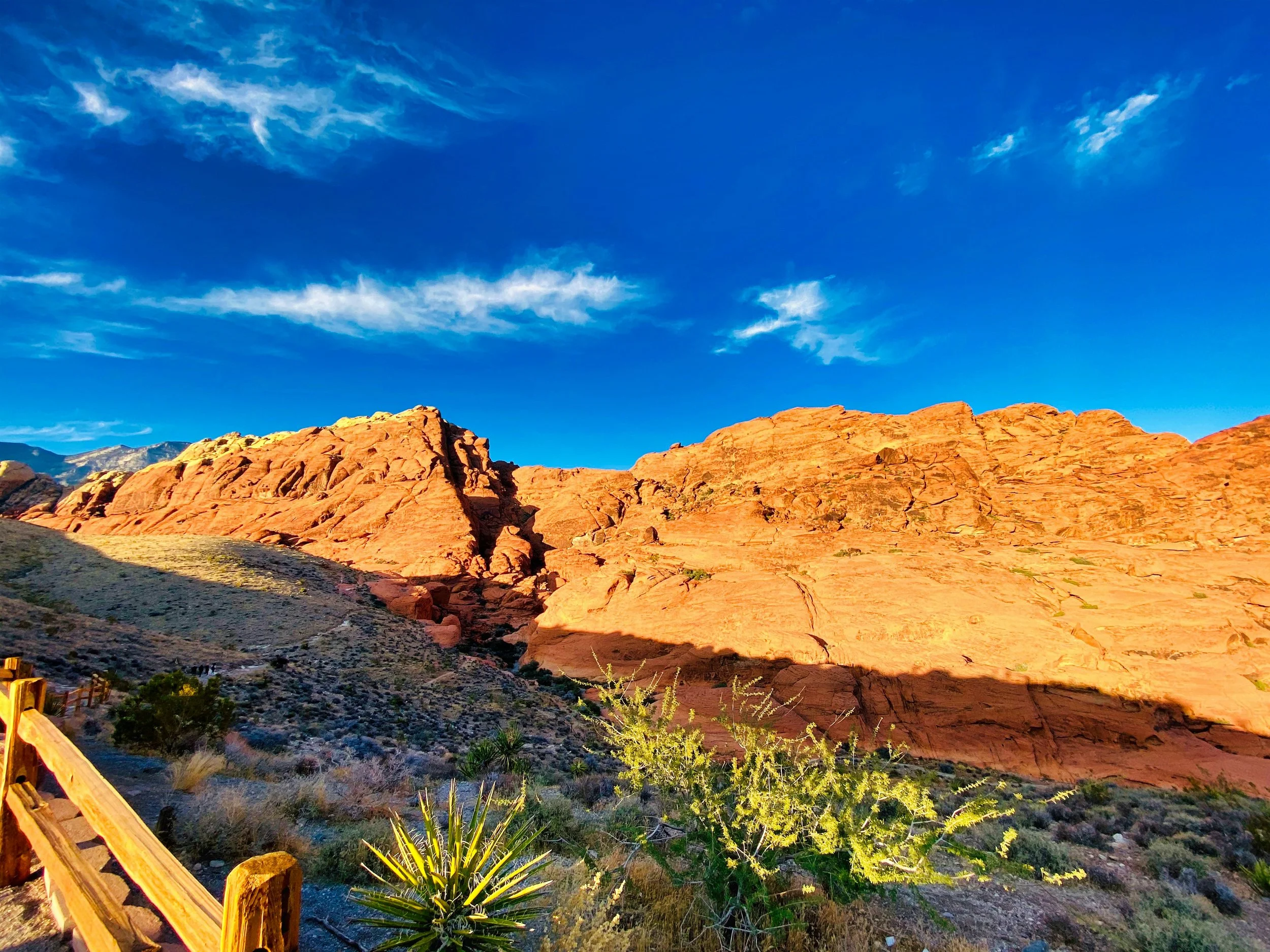 How Much Does a Nanny Cost in Las Vegas, Nevada? 2026 Complete Guide