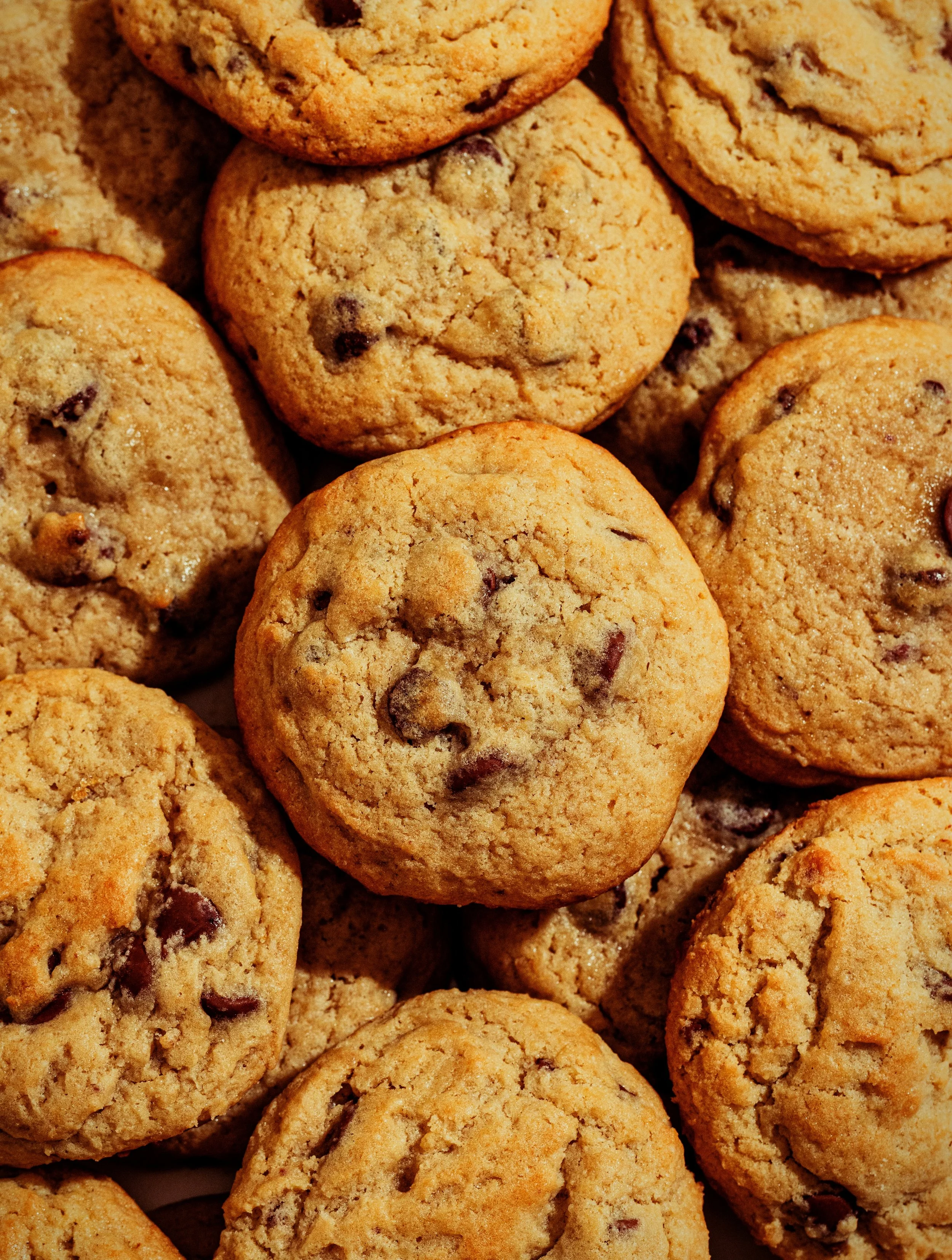 Honey Moon Photos-116_1_Reduced.jpeg