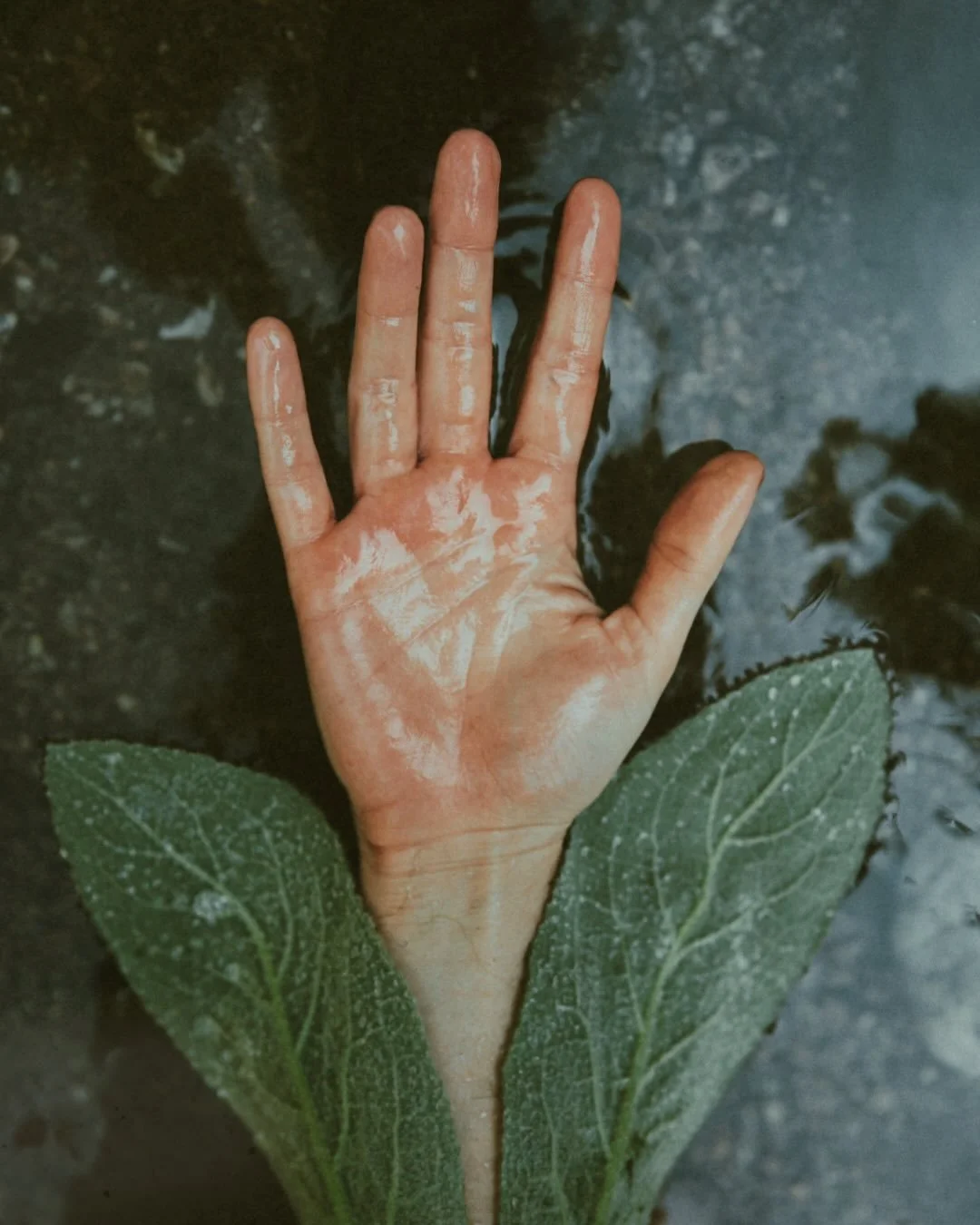 What wisdom would you pass on to another human?

Kat just points to the photo of herself covered in moss.
&ldquo;That&rsquo;s your answer. There you go&rdquo;

Today, she is moss:
soft, unassuming, alive with hidden worlds.

&ldquo;Something about ho