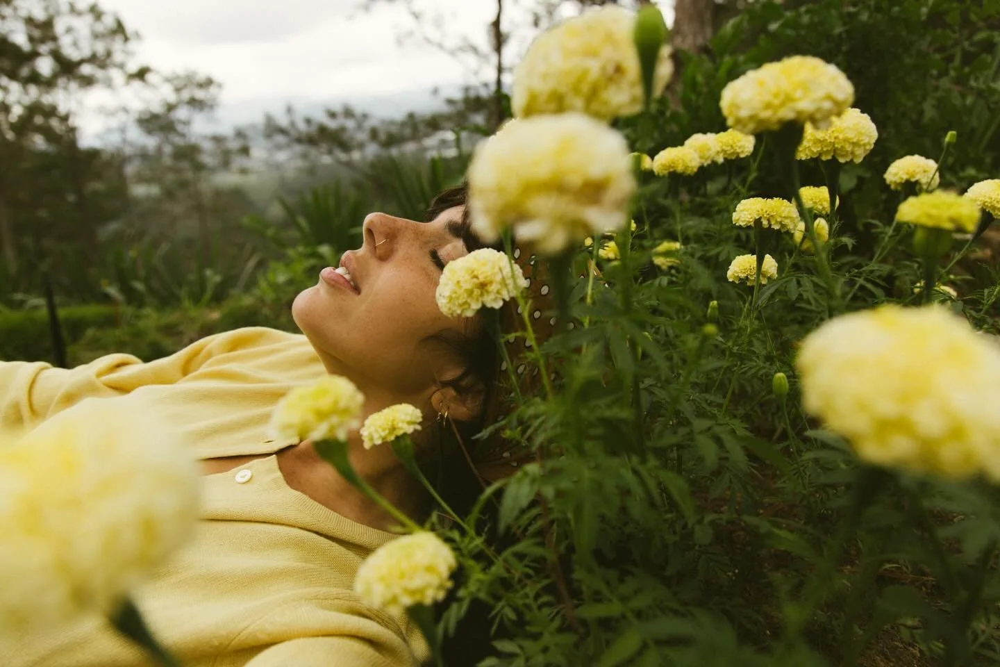 enamor&aacute; de mi jard&iacute;n