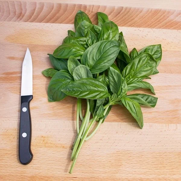 basil.jpeg