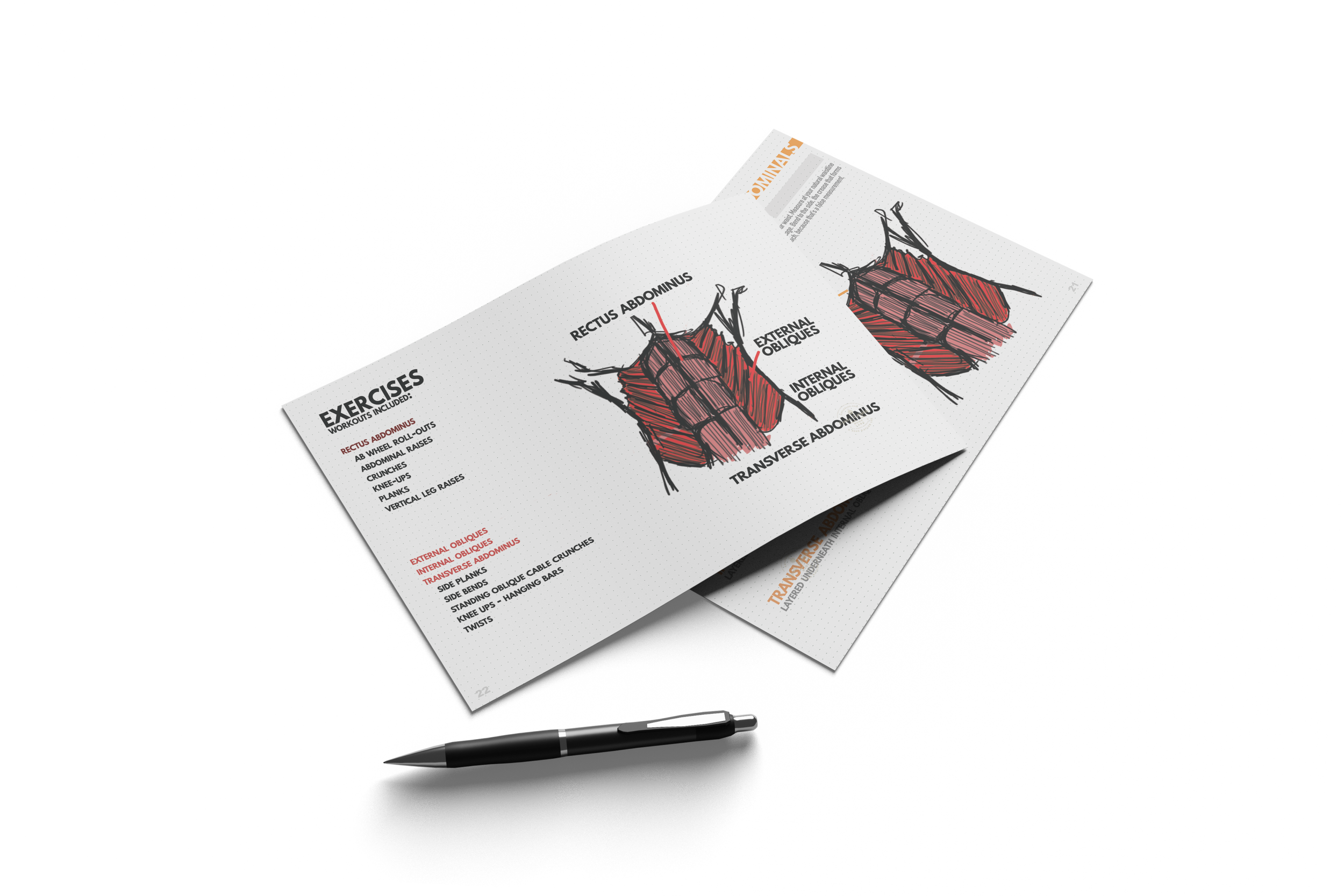 MockUp-Abs-Cheat-Sheets.png