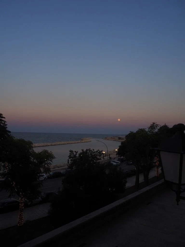 92CA5996-02AD-4A88-82CD-5ABB1712218C_1_105_c.jpeg