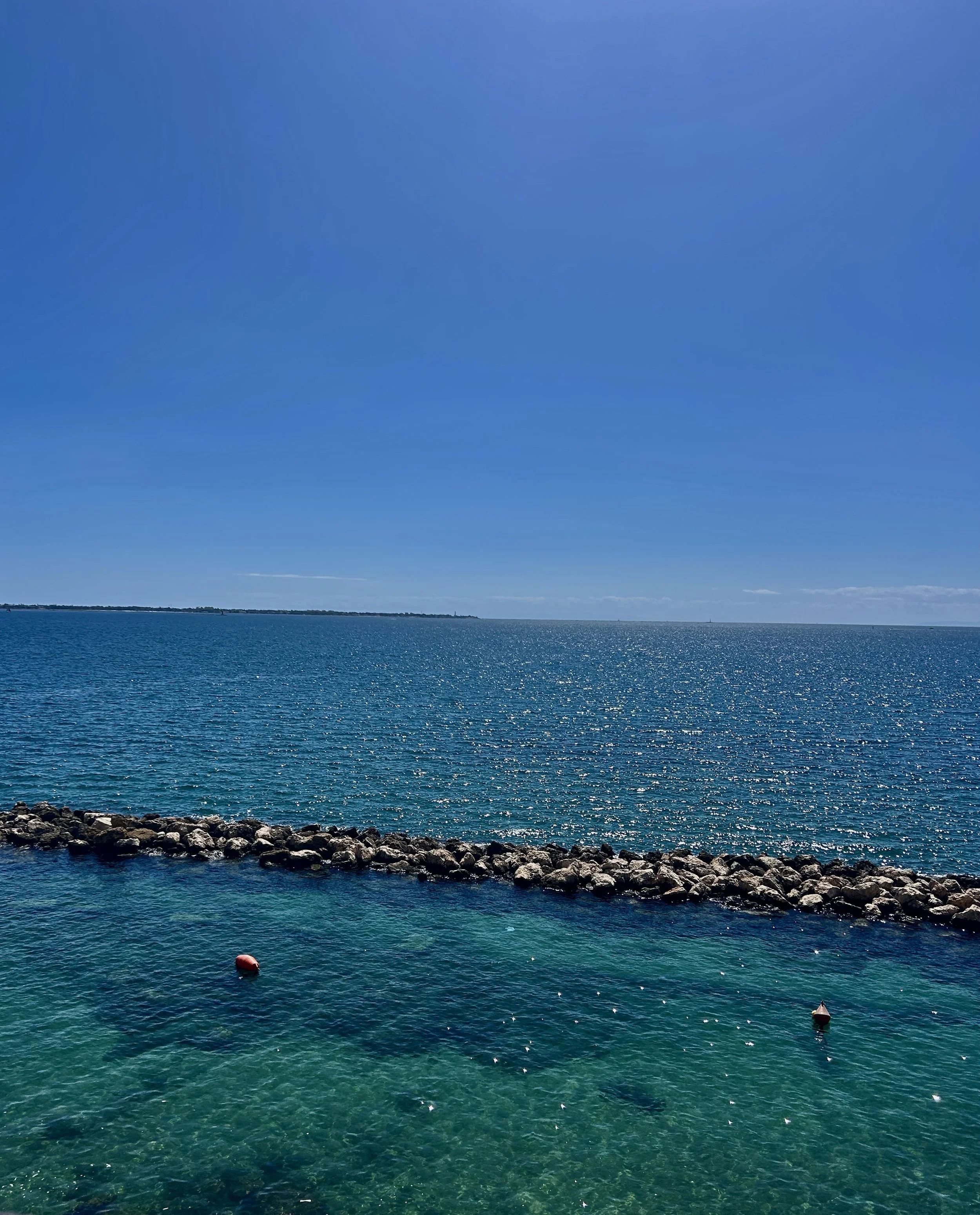 E49D52EF-DF30-4AA8-984A-7C6E4BA44968_1_201_a.jpeg