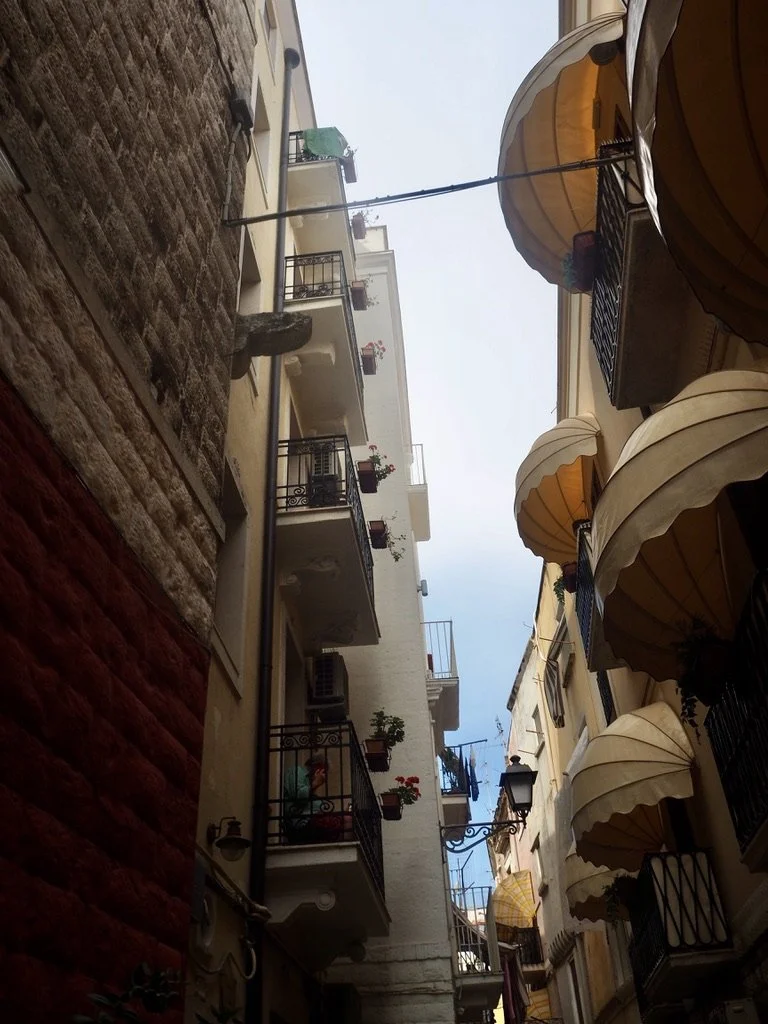 D1CE7ED8-A3E2-45EB-9B03-061750E407B8_1_105_c.jpeg