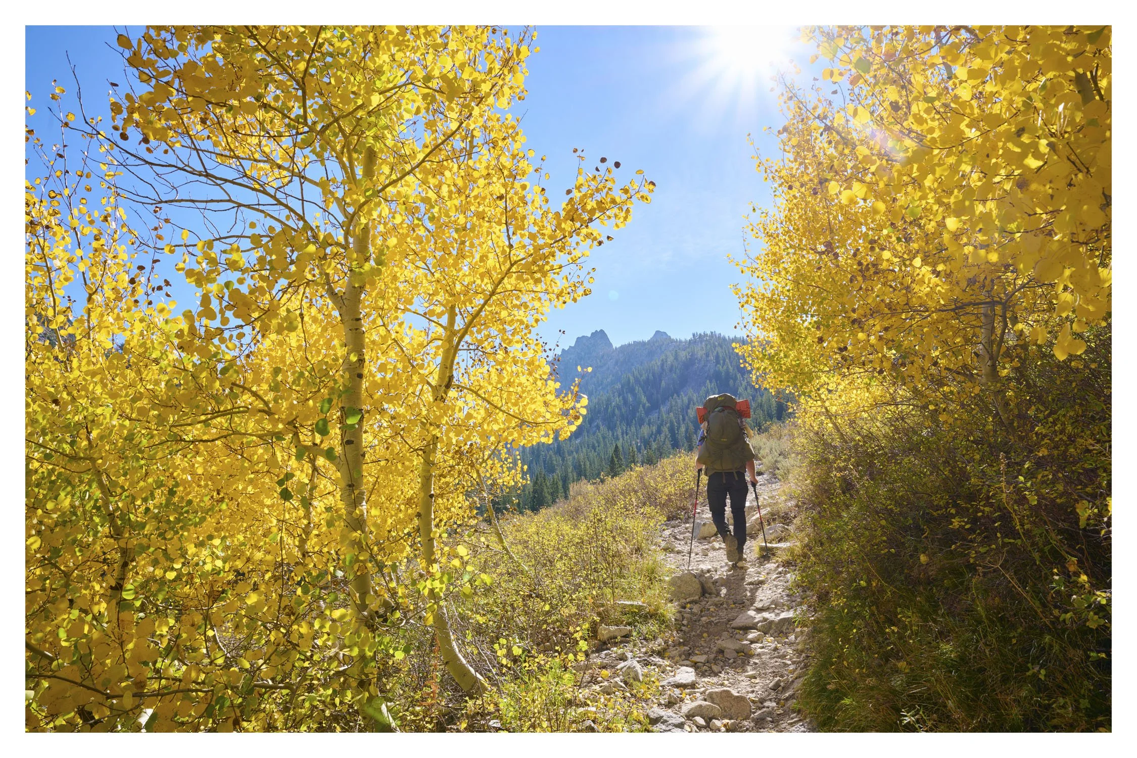 Sawtooth Wilderness 5jpgweb.jpg
