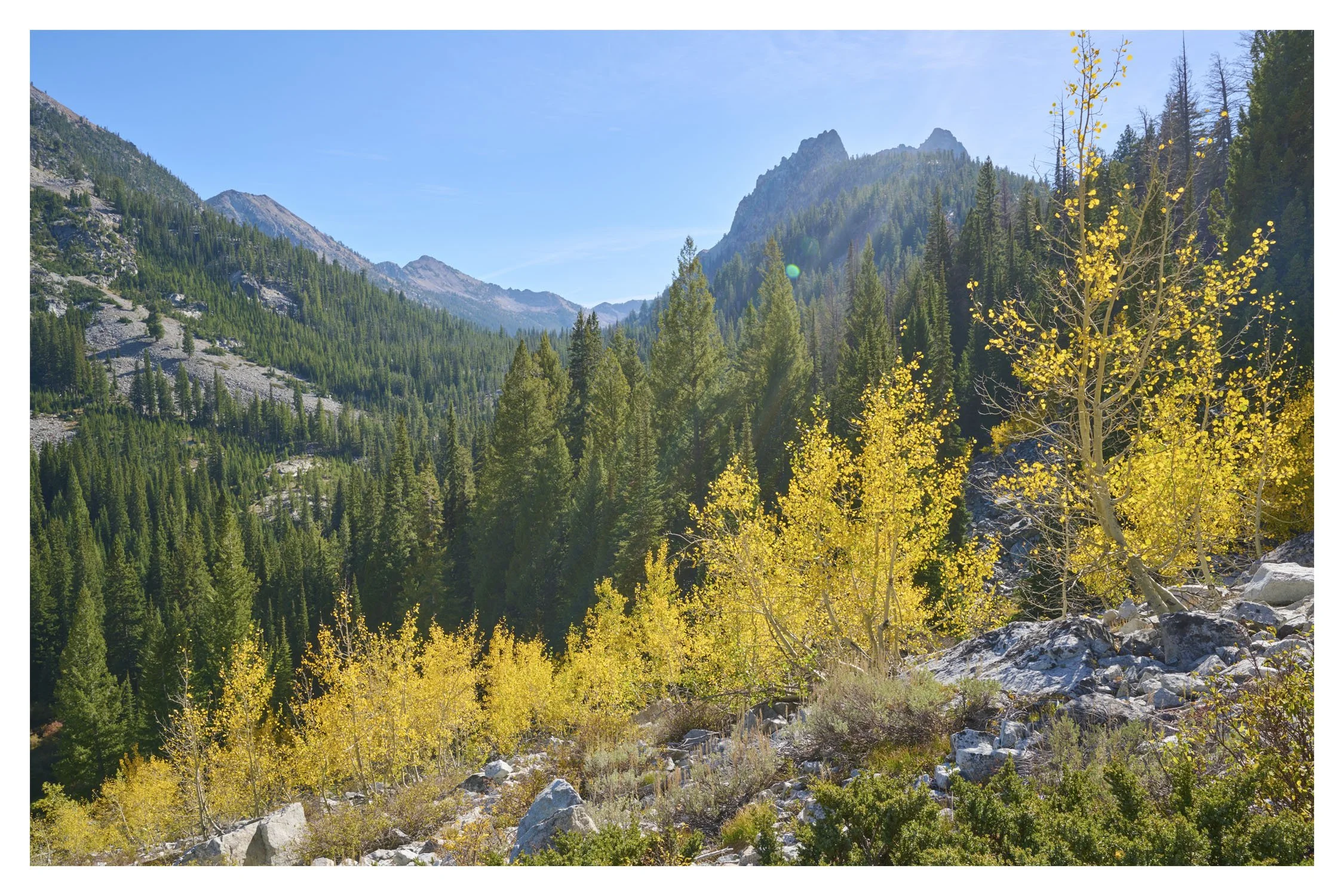 Sawtooth Wilderness 10jpgweb.jpg