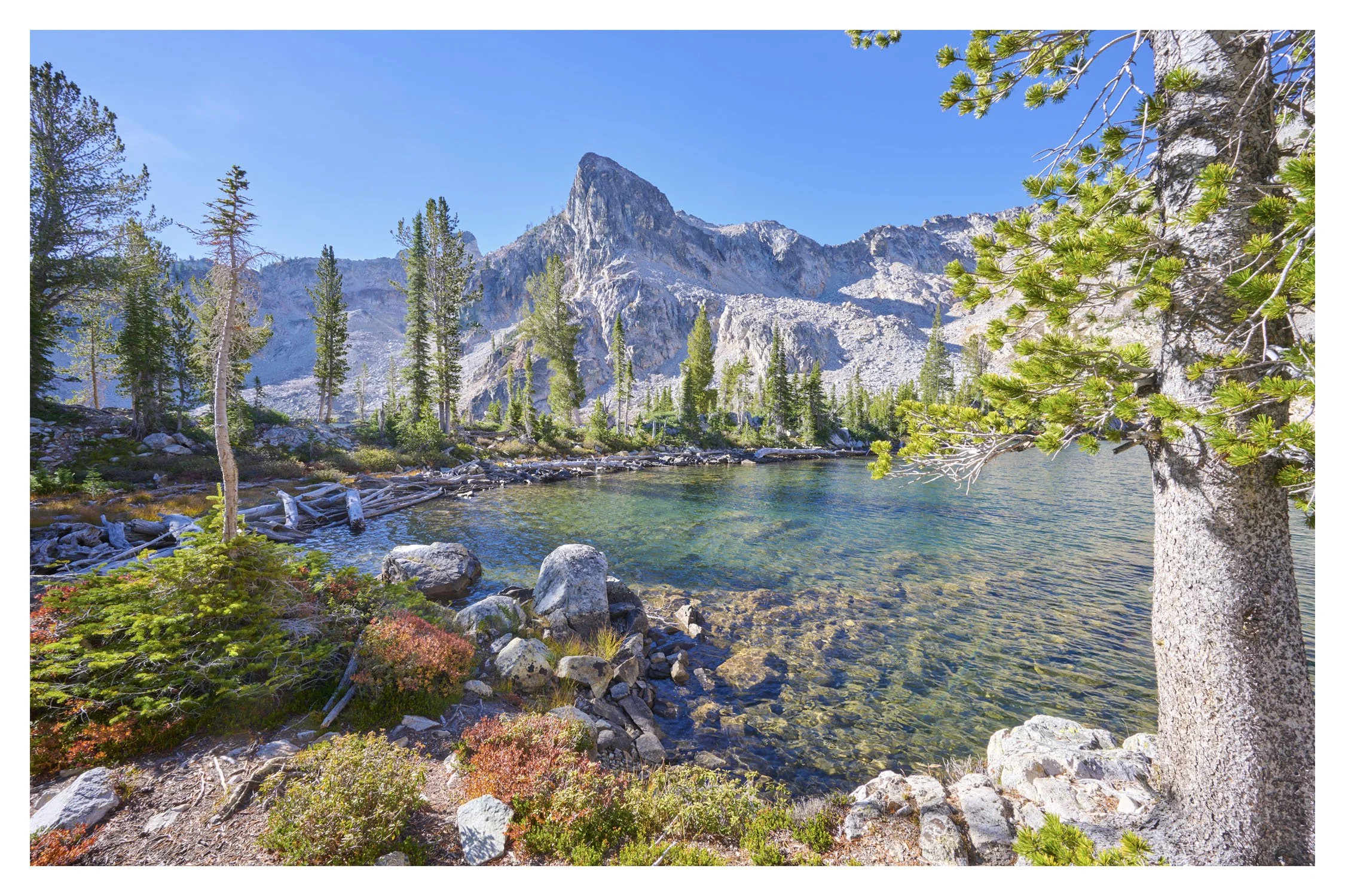 Sawtooth Wilderness 82jpgweb.jpg