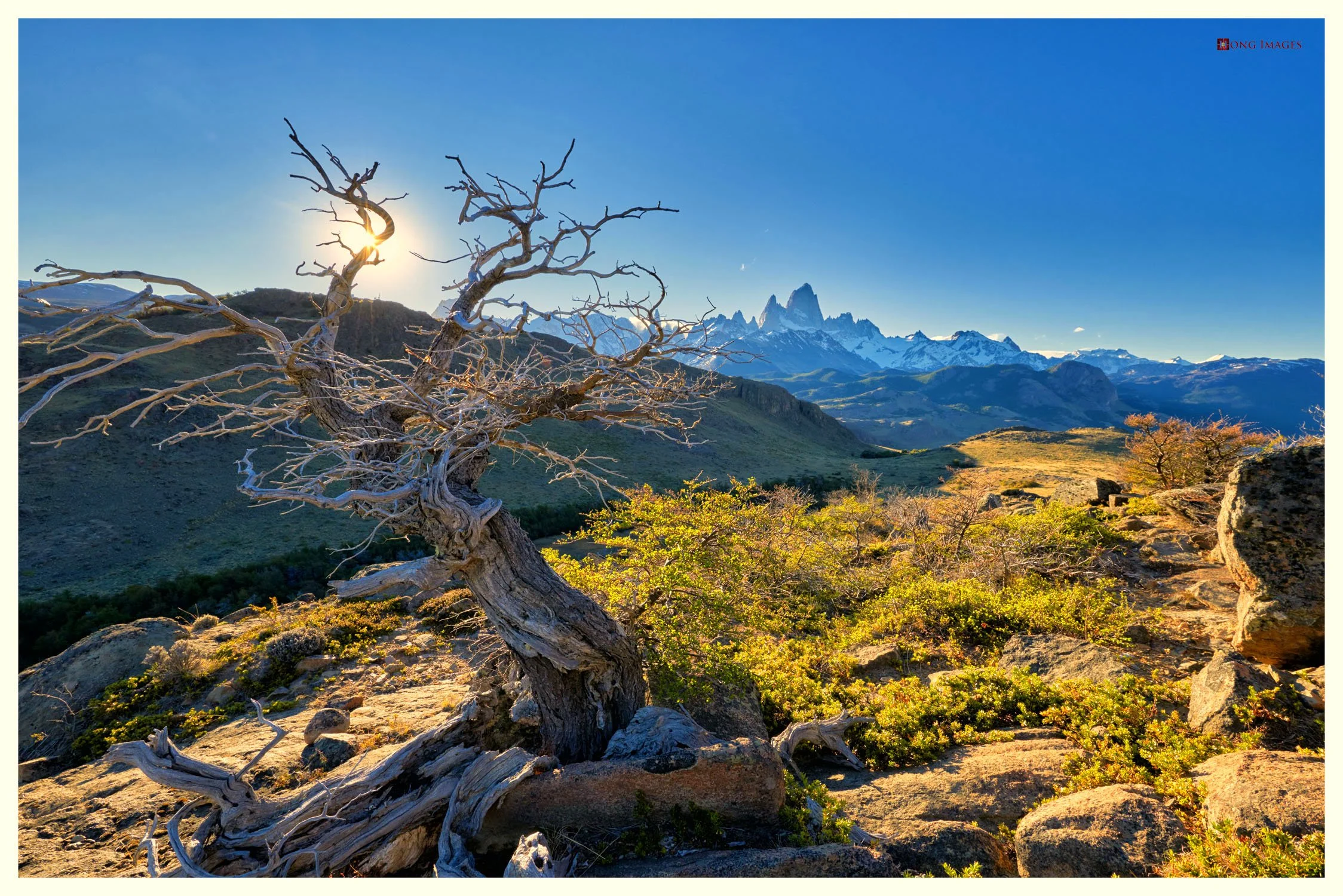 El Condor_44-web.jpg