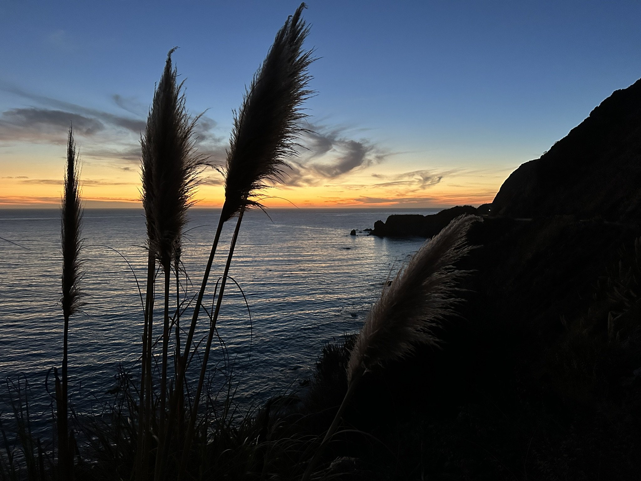 C6CA0B17-1384-4DE6-9CDF-EBDF73658A47_1_102_o.jpeg