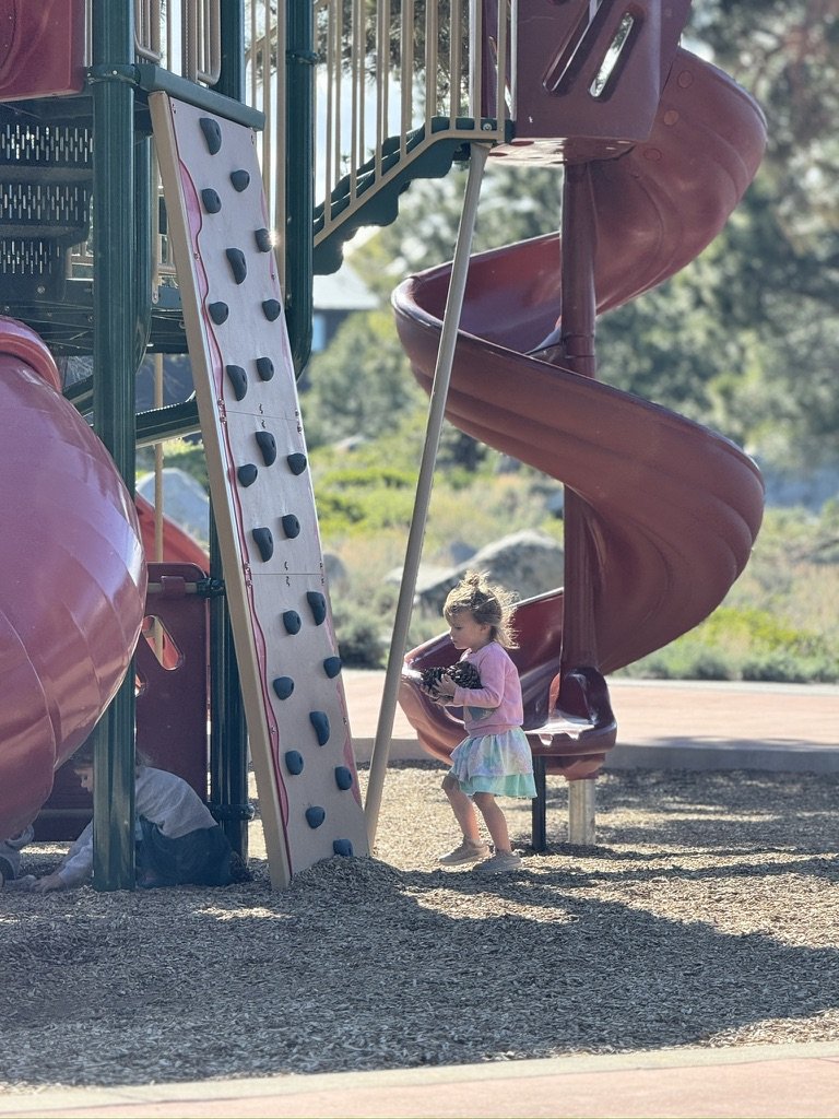 FD77D65E-582C-464F-822A-F089475830B7_1_105_c.jpeg